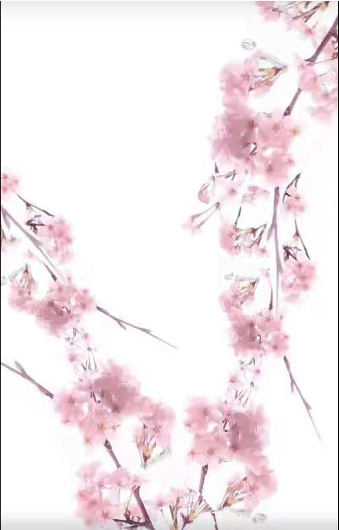 @Kambree🦄🦄🦄