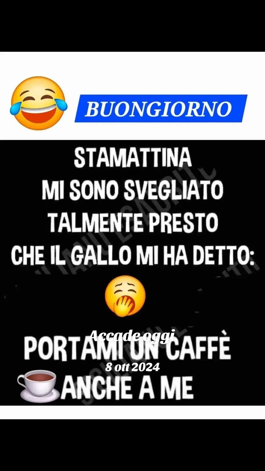 @Carla Junior