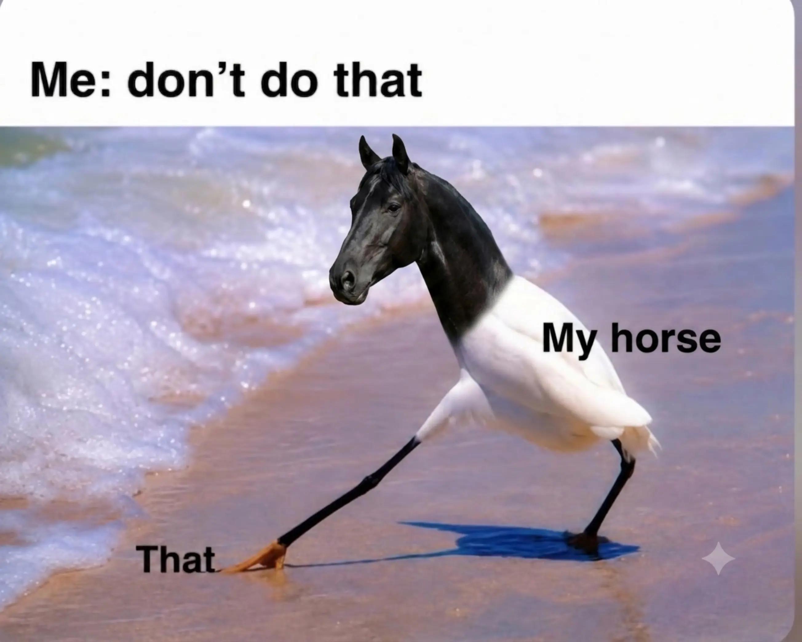 @streamhorse