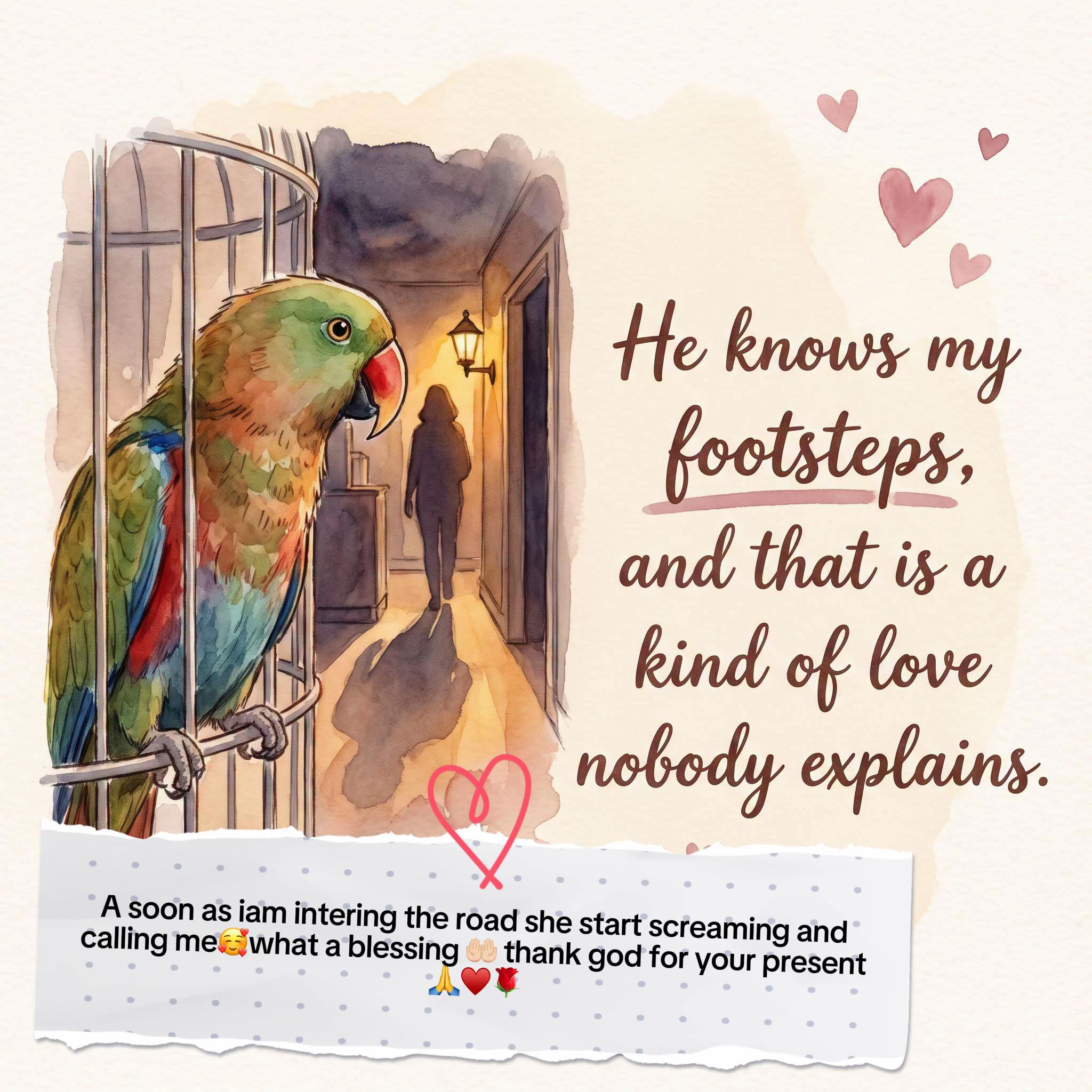 @Dlly 🥰😍