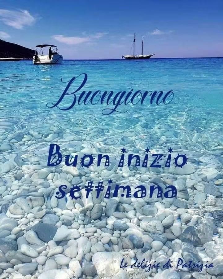 @silvanatarasco