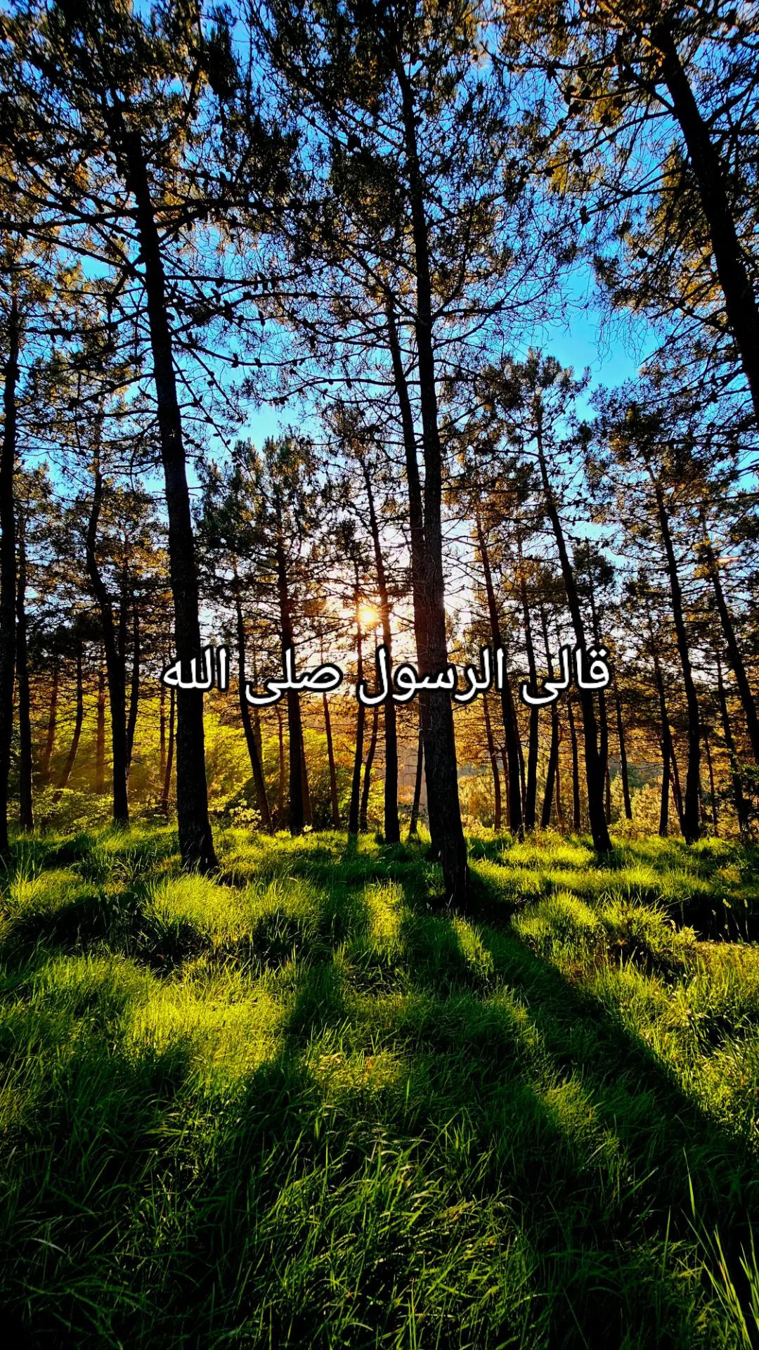 @القرآن الكريم