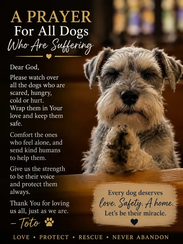 @Petscentralorg DLM Foundation