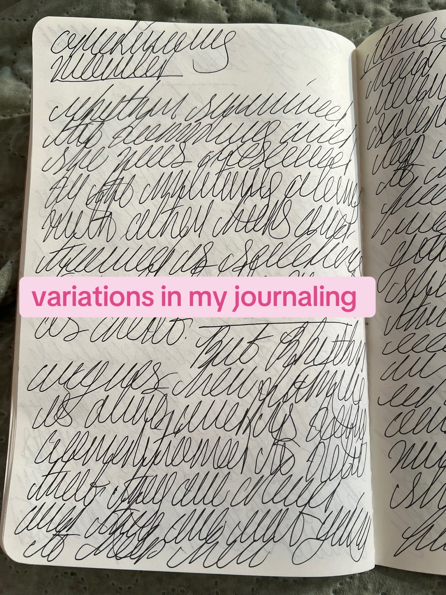 @Dylan | Writer | CC 📚🦋