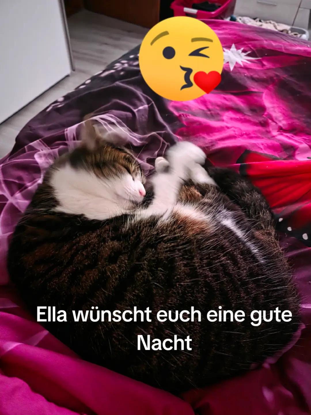 @Sarah Schumacher