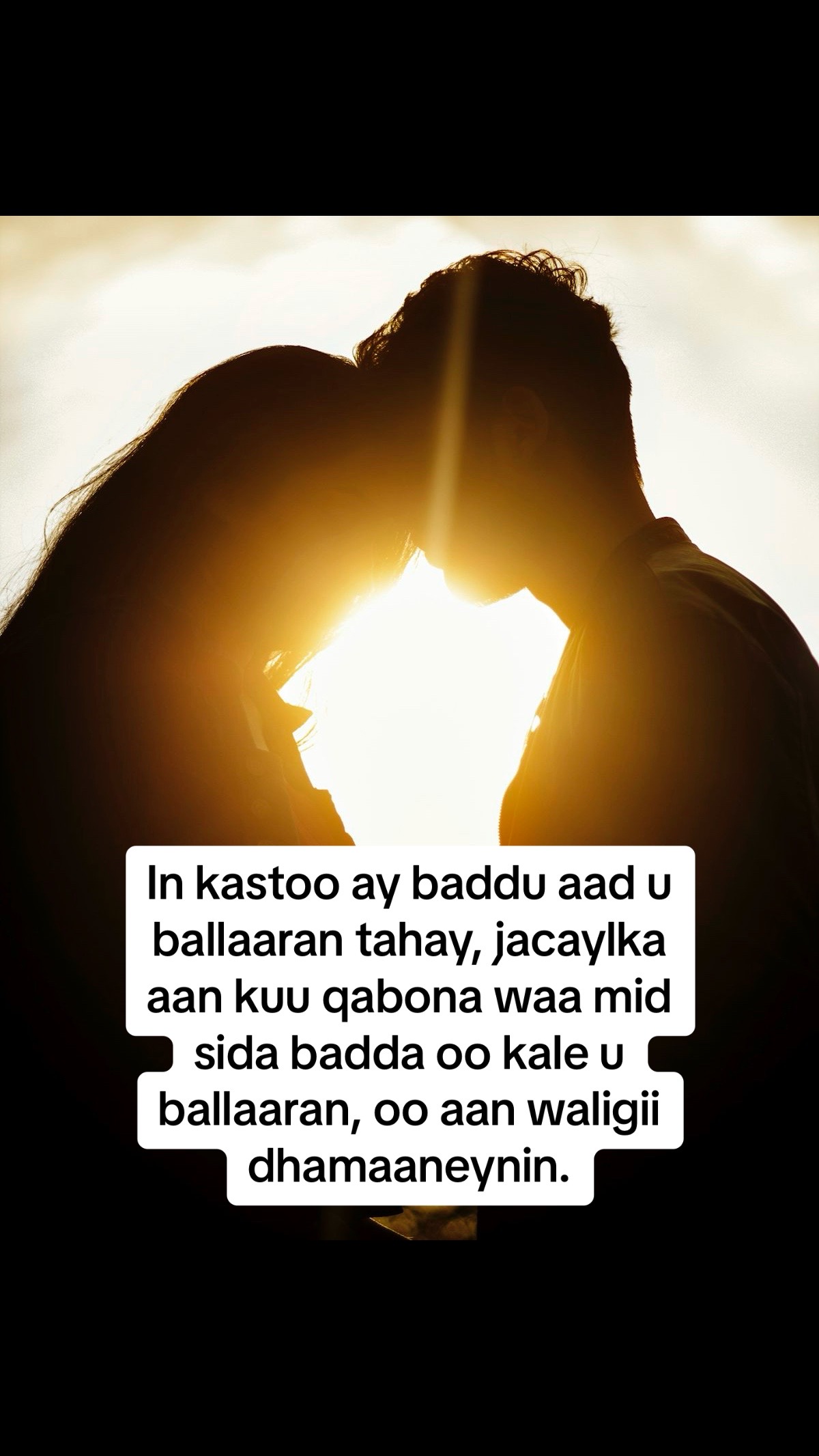 @CISHQI