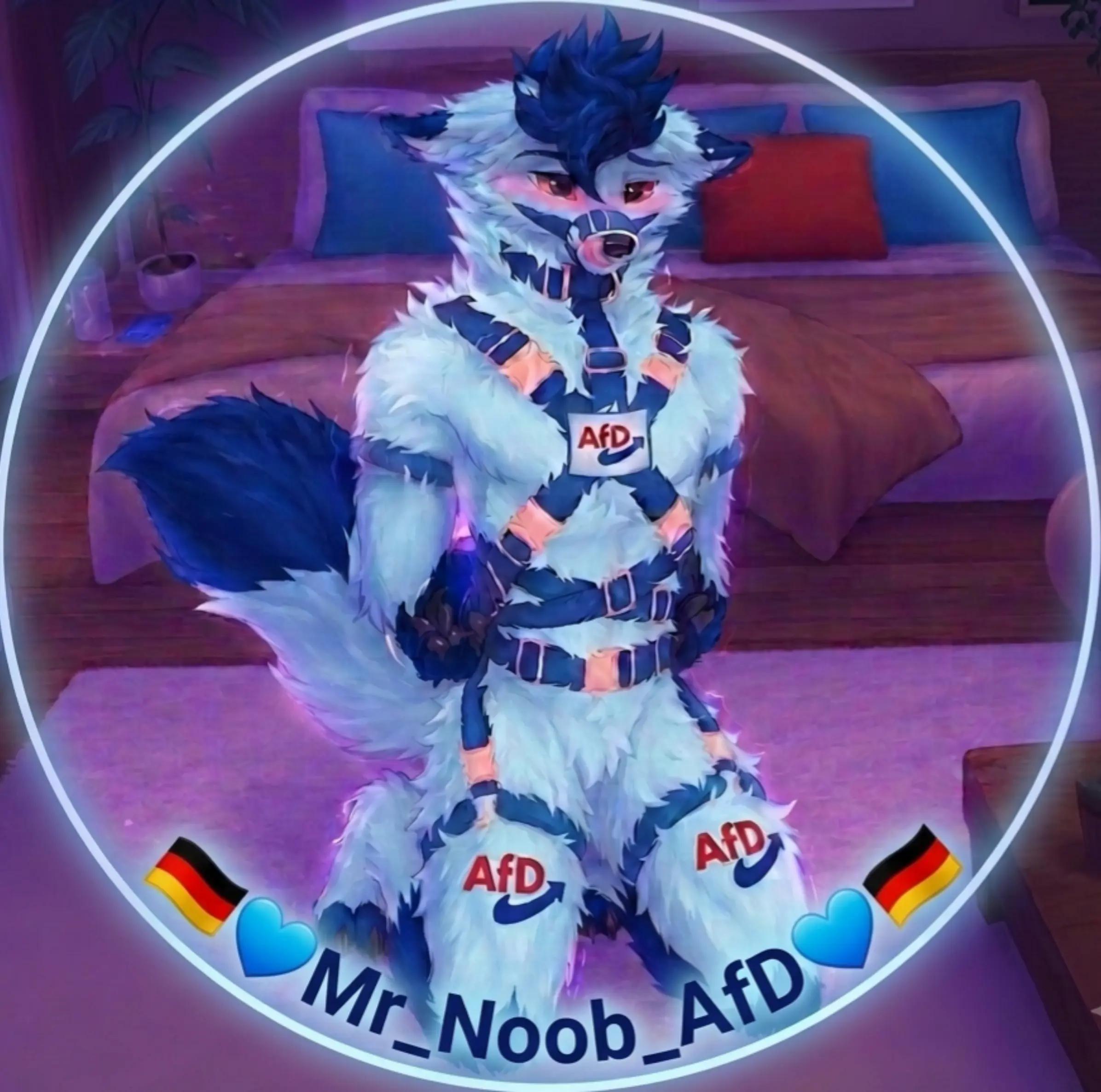 @๐ฉ๐ช๐Mr_Noob_AfD๐๐ฉ๐ช