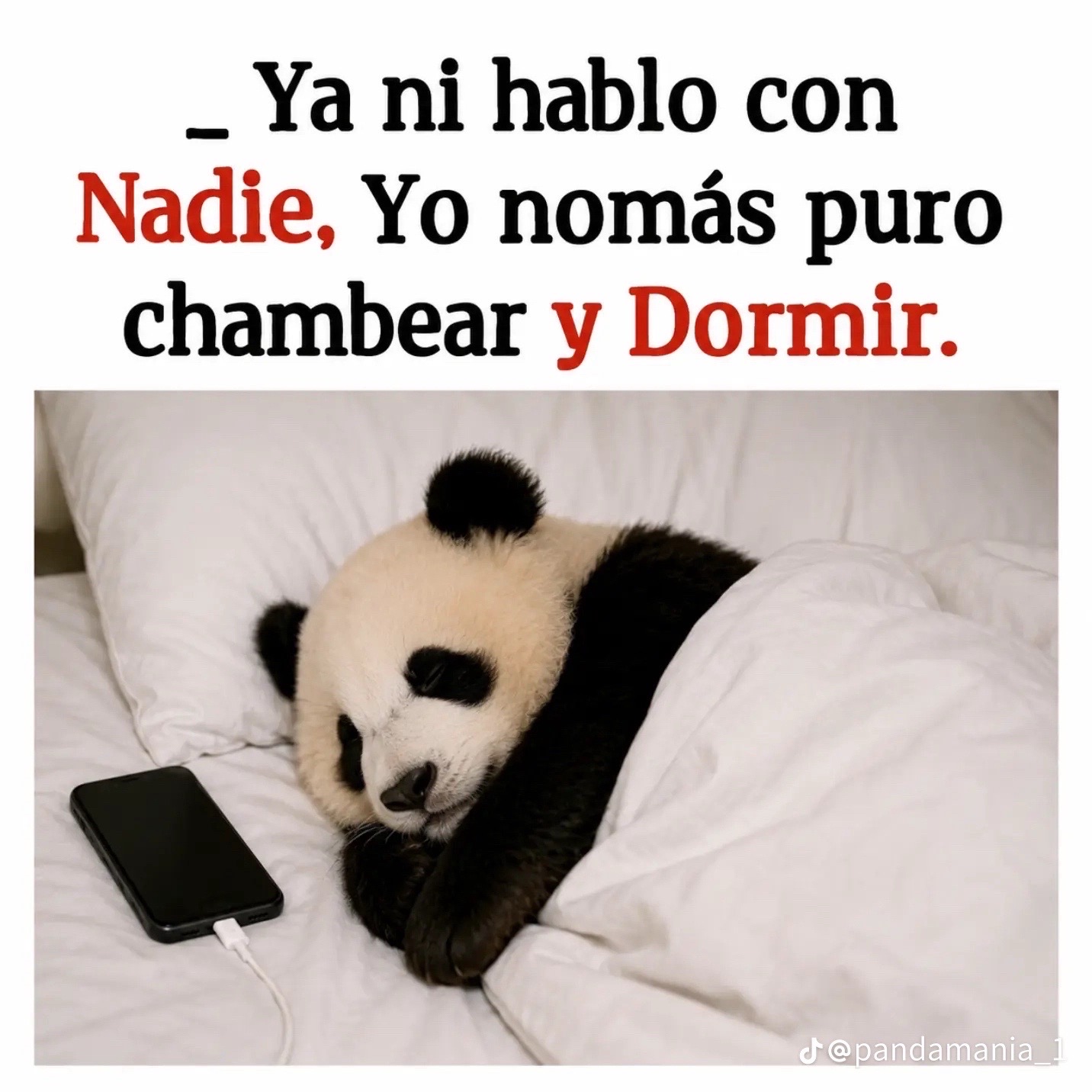 @Reynoso