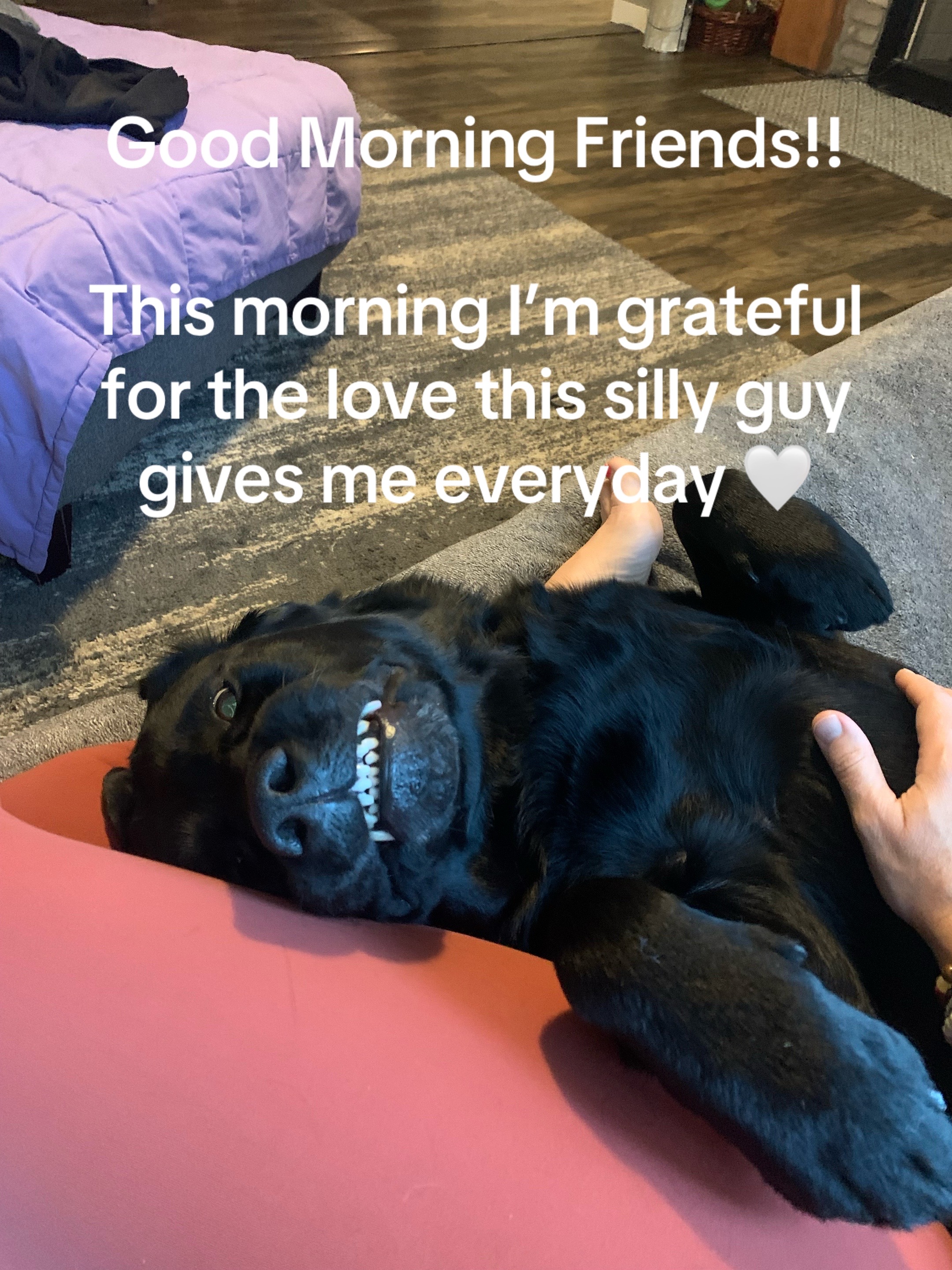 @ZenFitbyCarrie