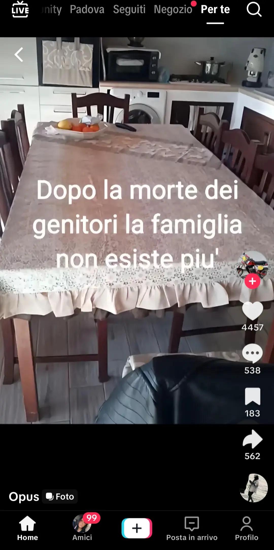 @anna andretta