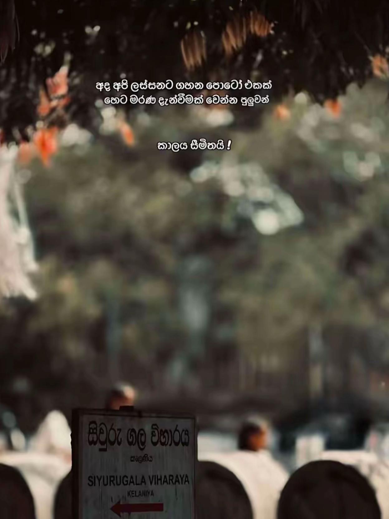 @_aparna.perera_🍓