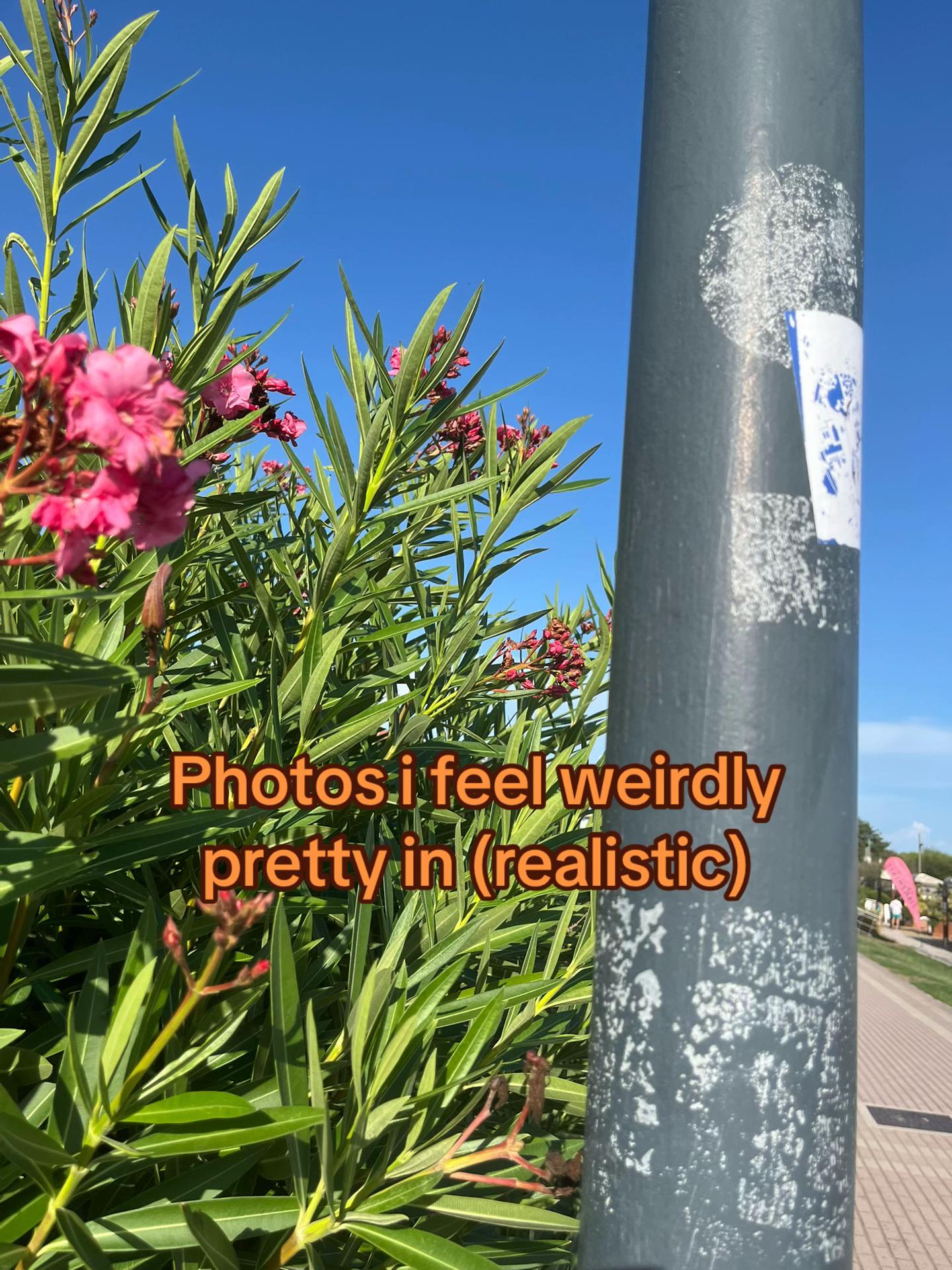 @♪ꨄ🦇⋰𝒩ℯ𝓈𝓈𝒶⋱🎞️ꨄ♪
