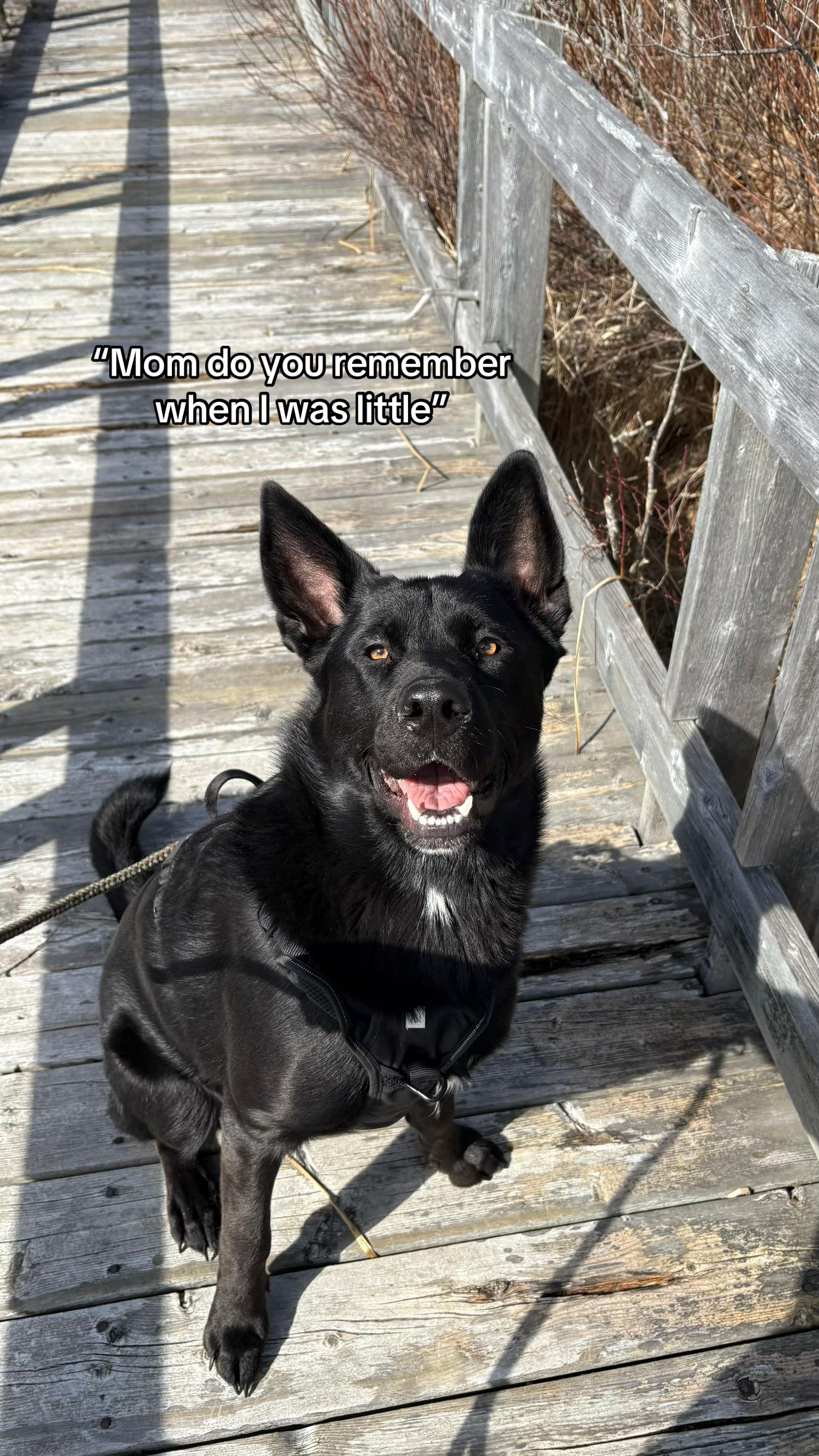 @Nom🇨🇦