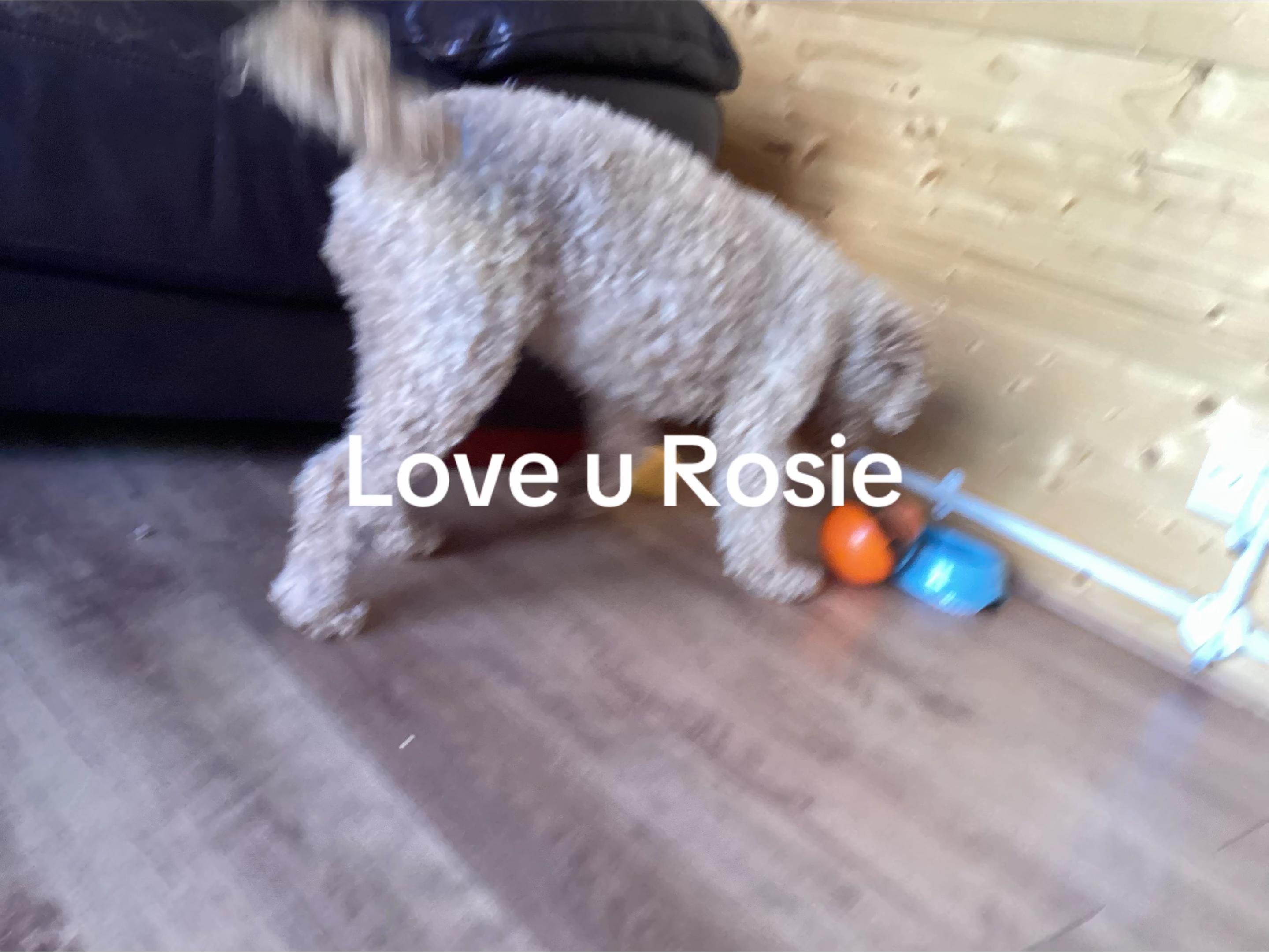 @ImogenB