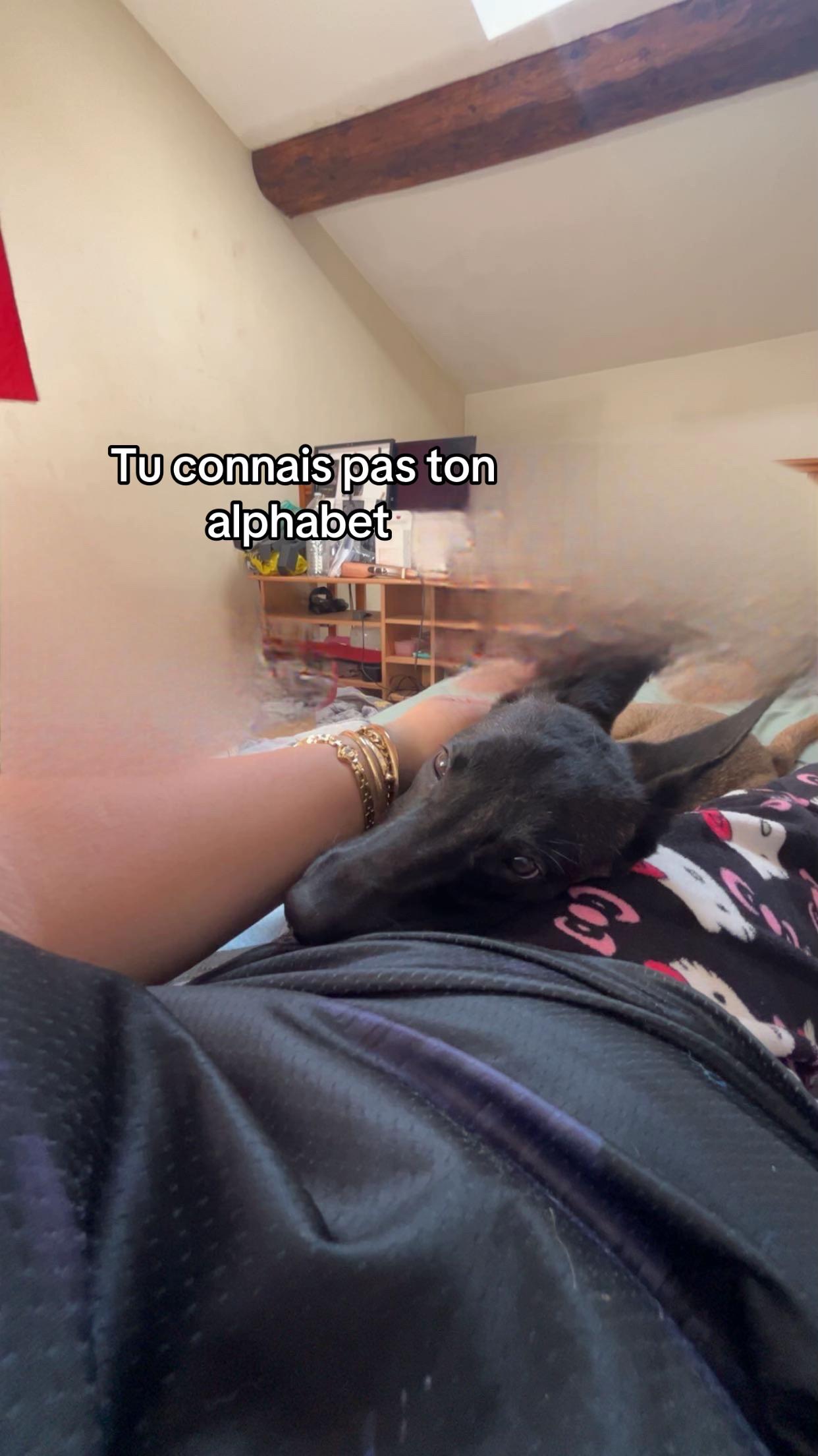 @๐ Angélina ๐