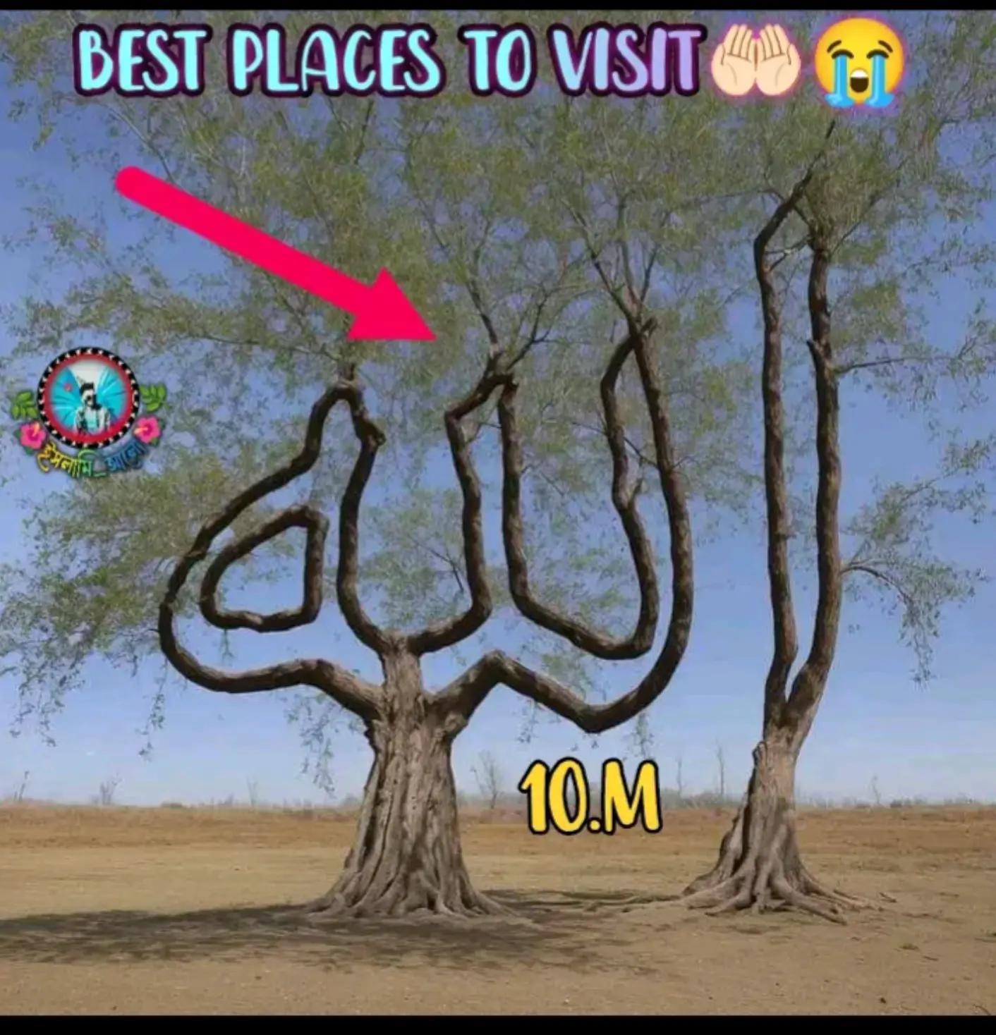 @আব্দুল গফুর