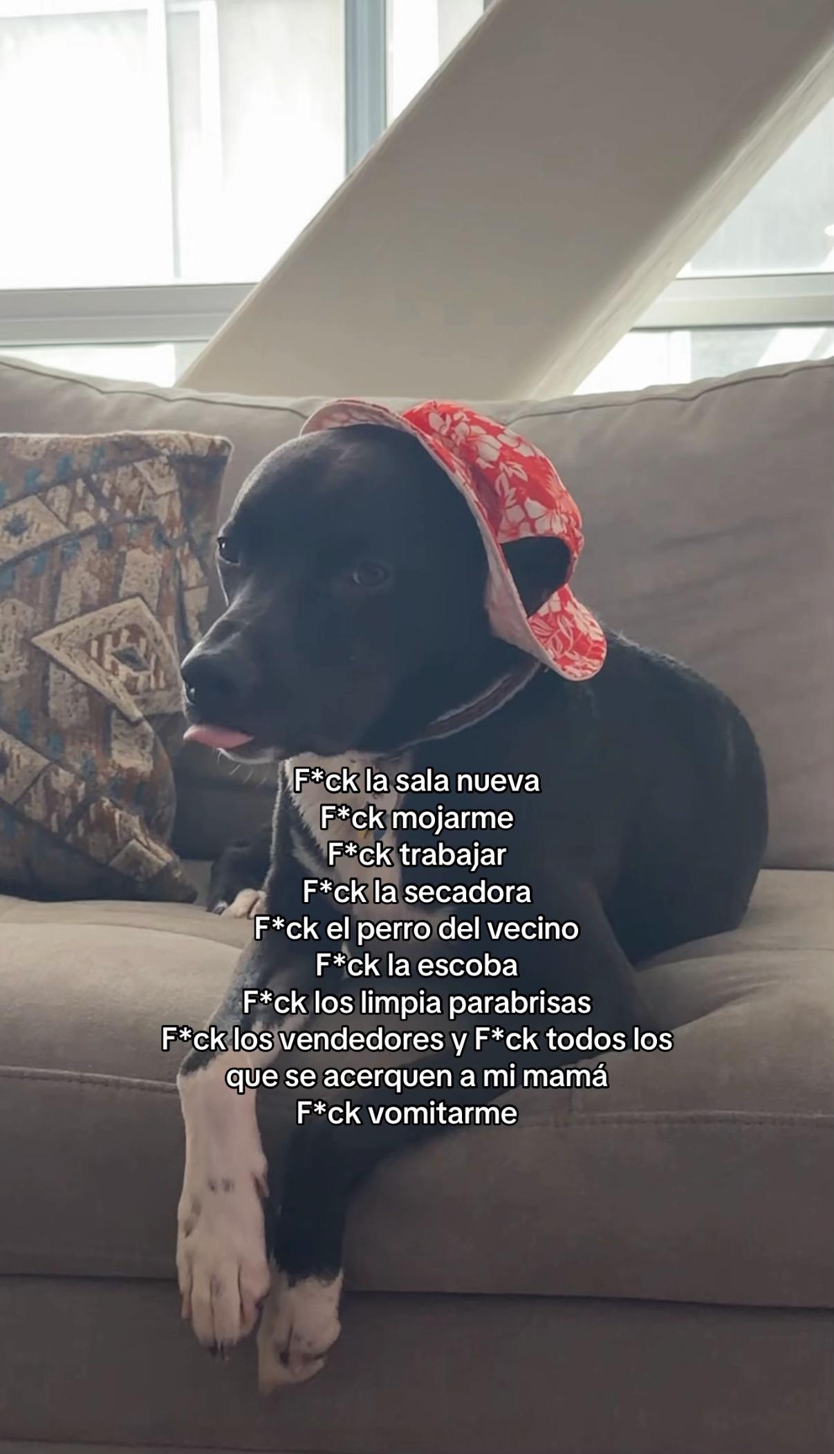 @Pat Leyva
