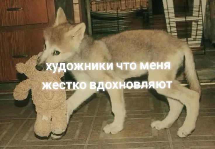 @. ݁˖ ᵖᵘˢʰᵒᵏ₁₃⊹˚。⋆