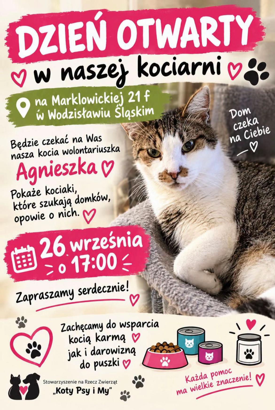 @Wodzisławskie Psy i Koty 😻🥺