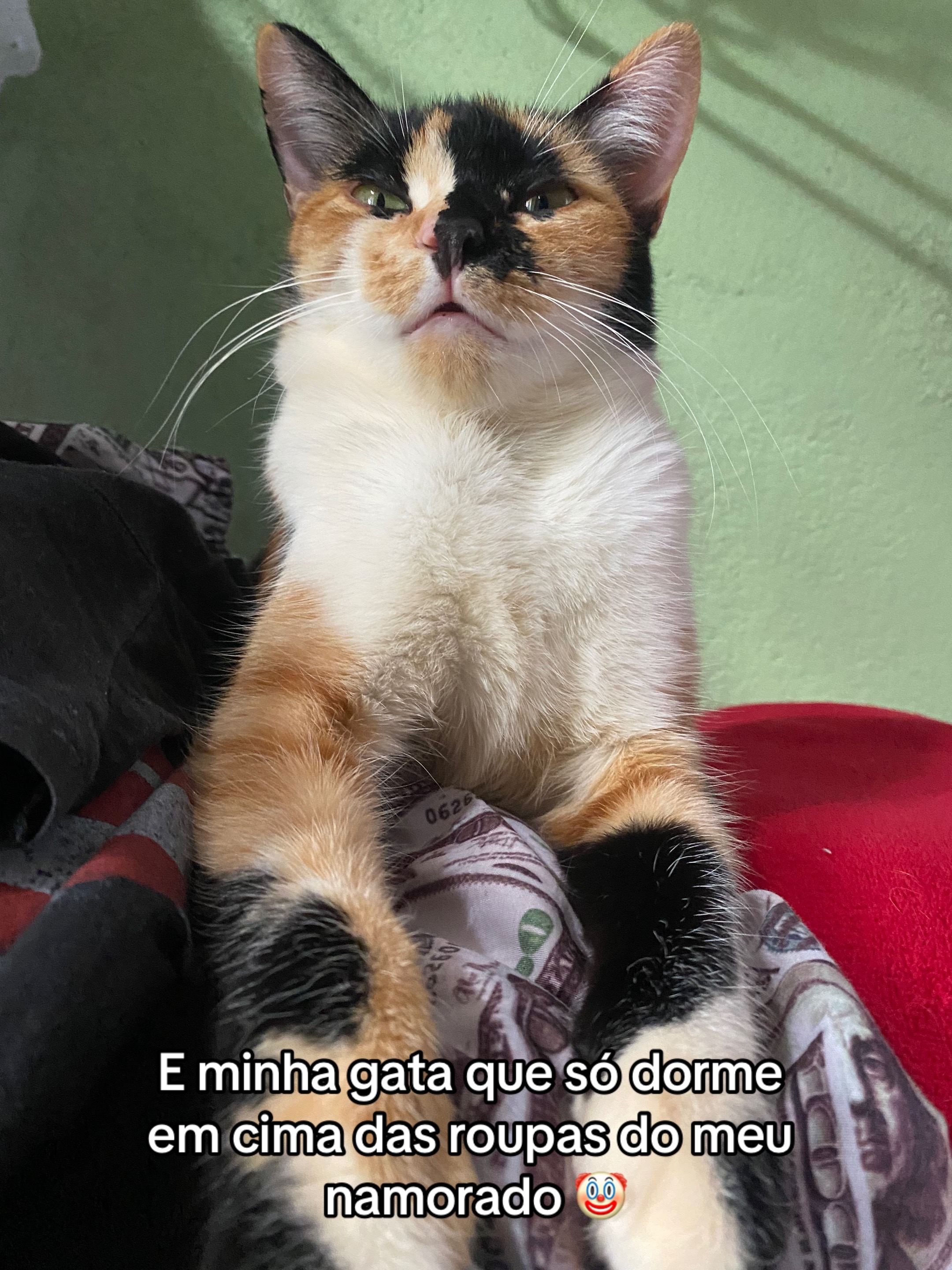 @Nayara Costa