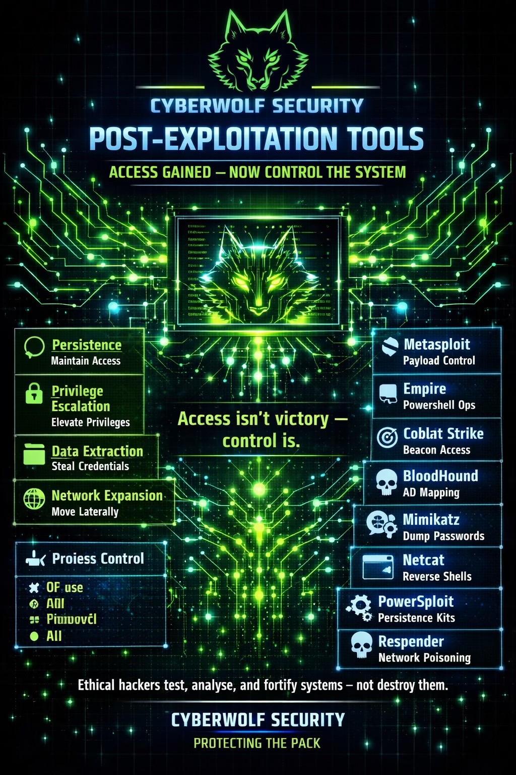 @Cyber Wolf 🐺