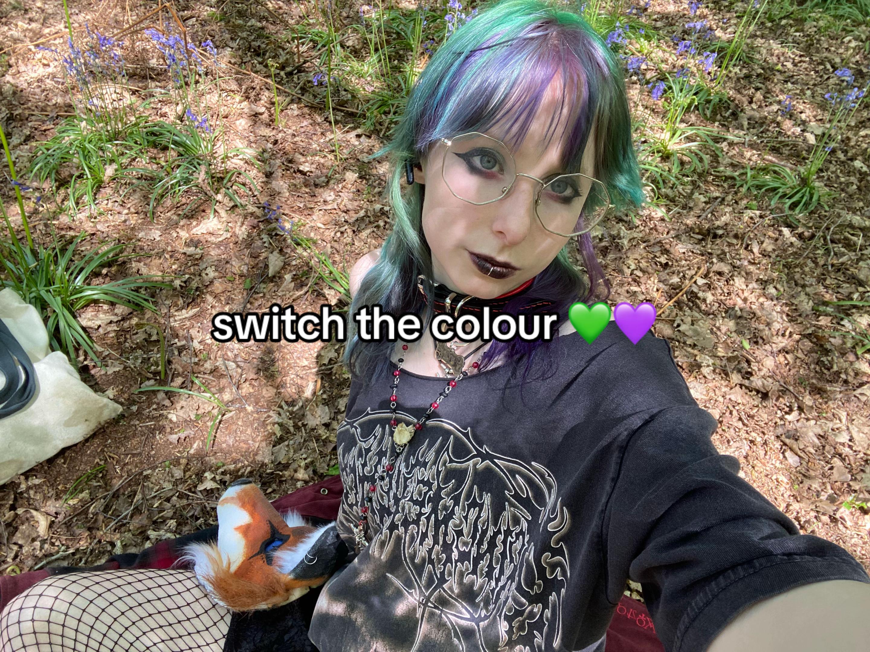 @stars.and.pollen