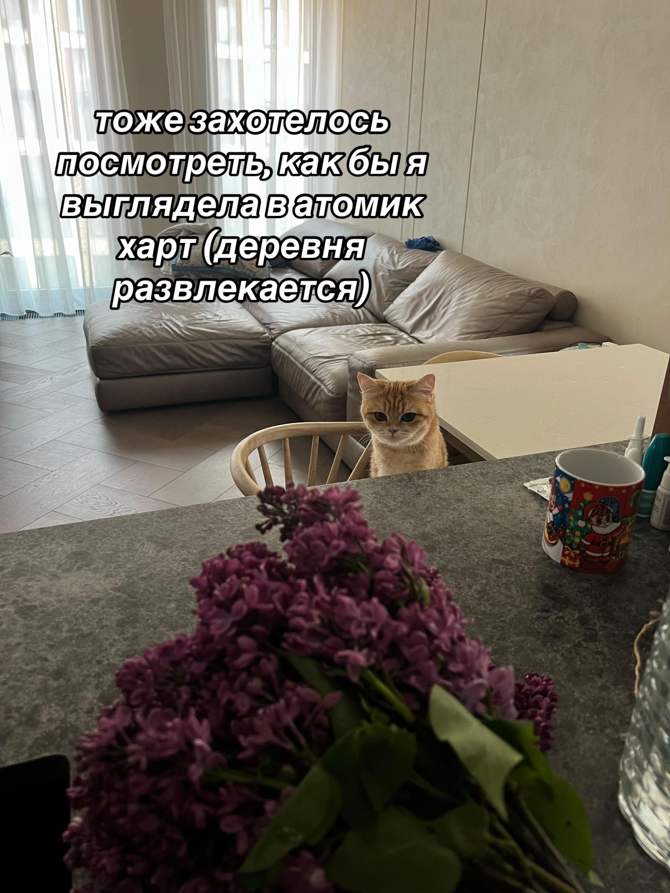 @ап0феоз