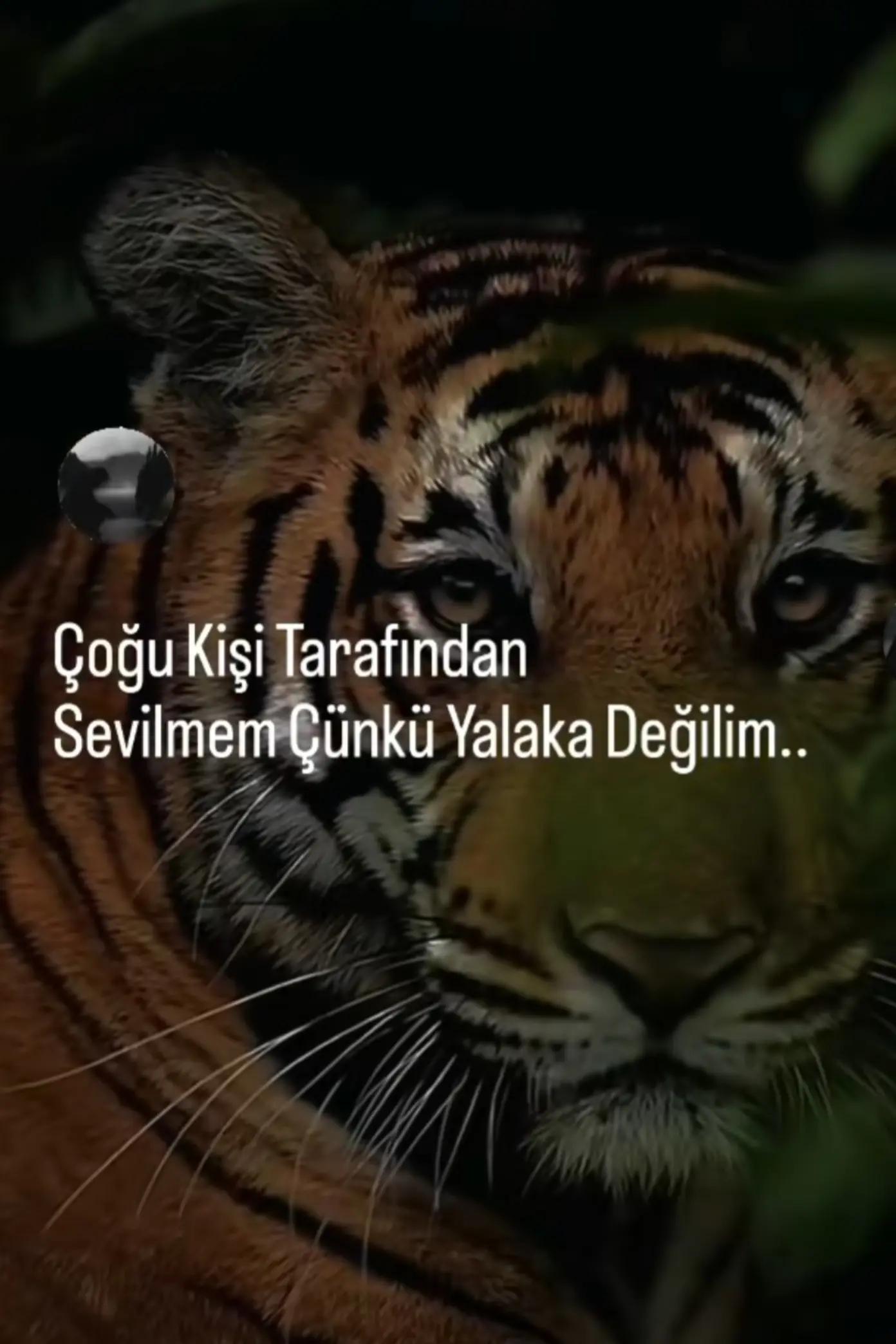 @&hearts;️DiLek🖤G&ouml;Khan&hearts;️