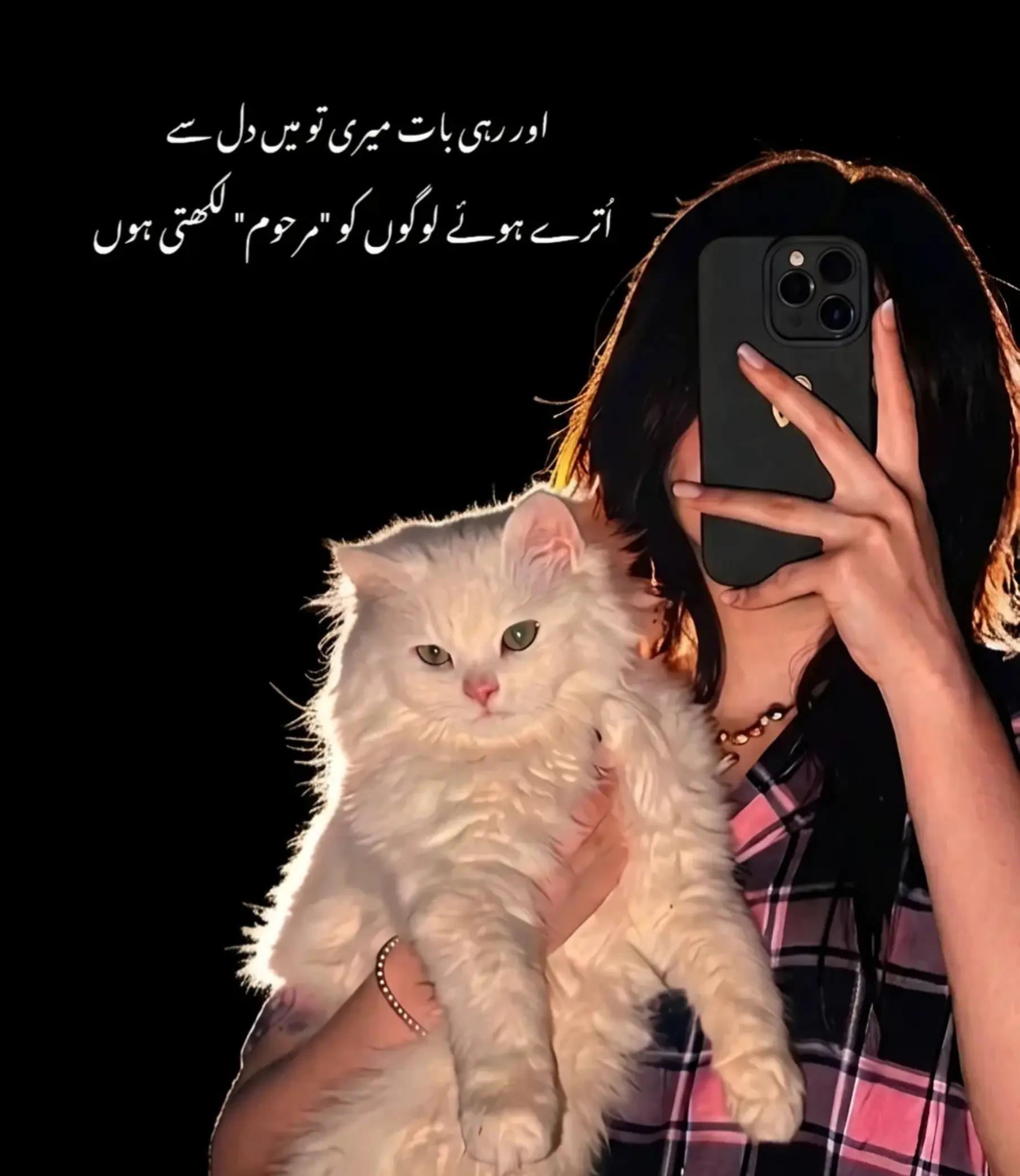 @Maryamzubair