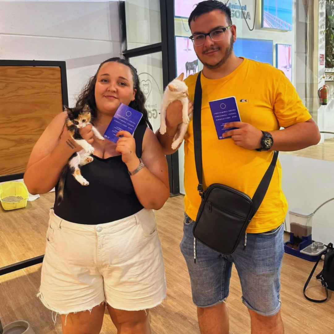 @Miscota &middot; Tienda para mascotas
