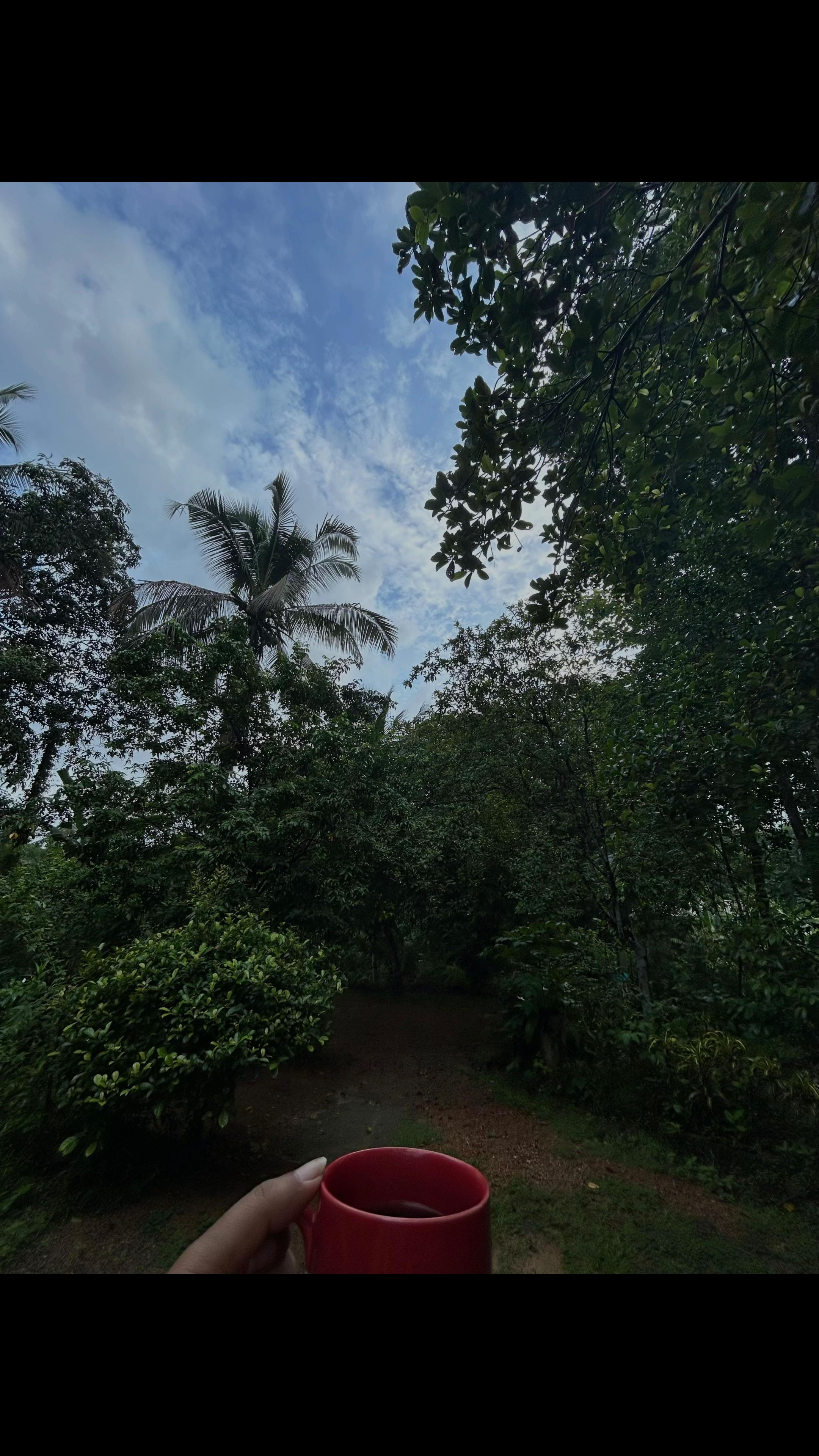 @Manik wijewardana