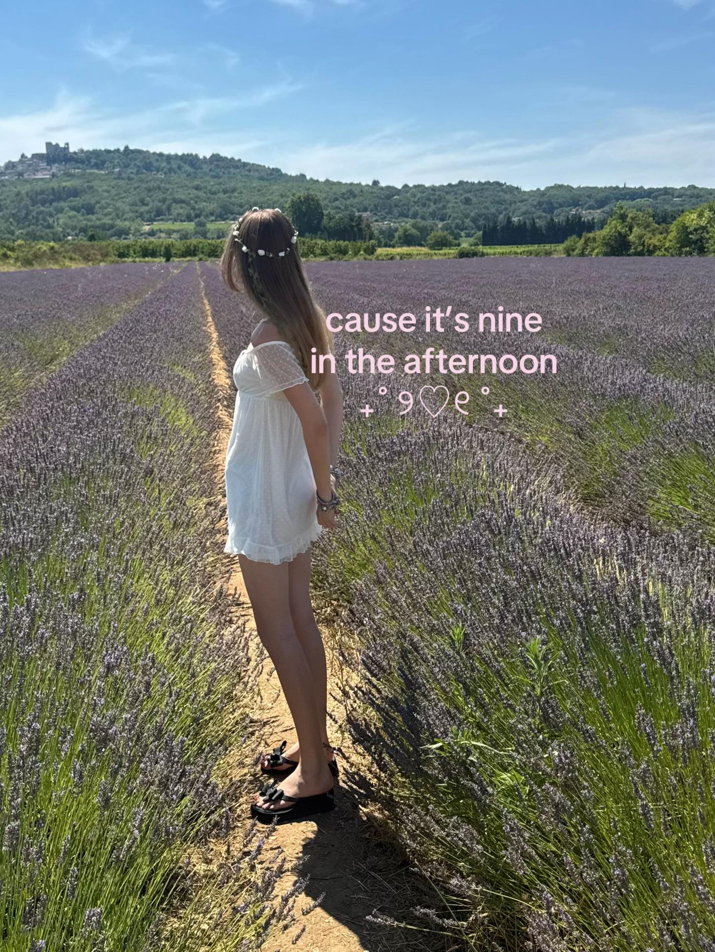 @𝑒𝓁𝒾 ‧₊˚🪽✧