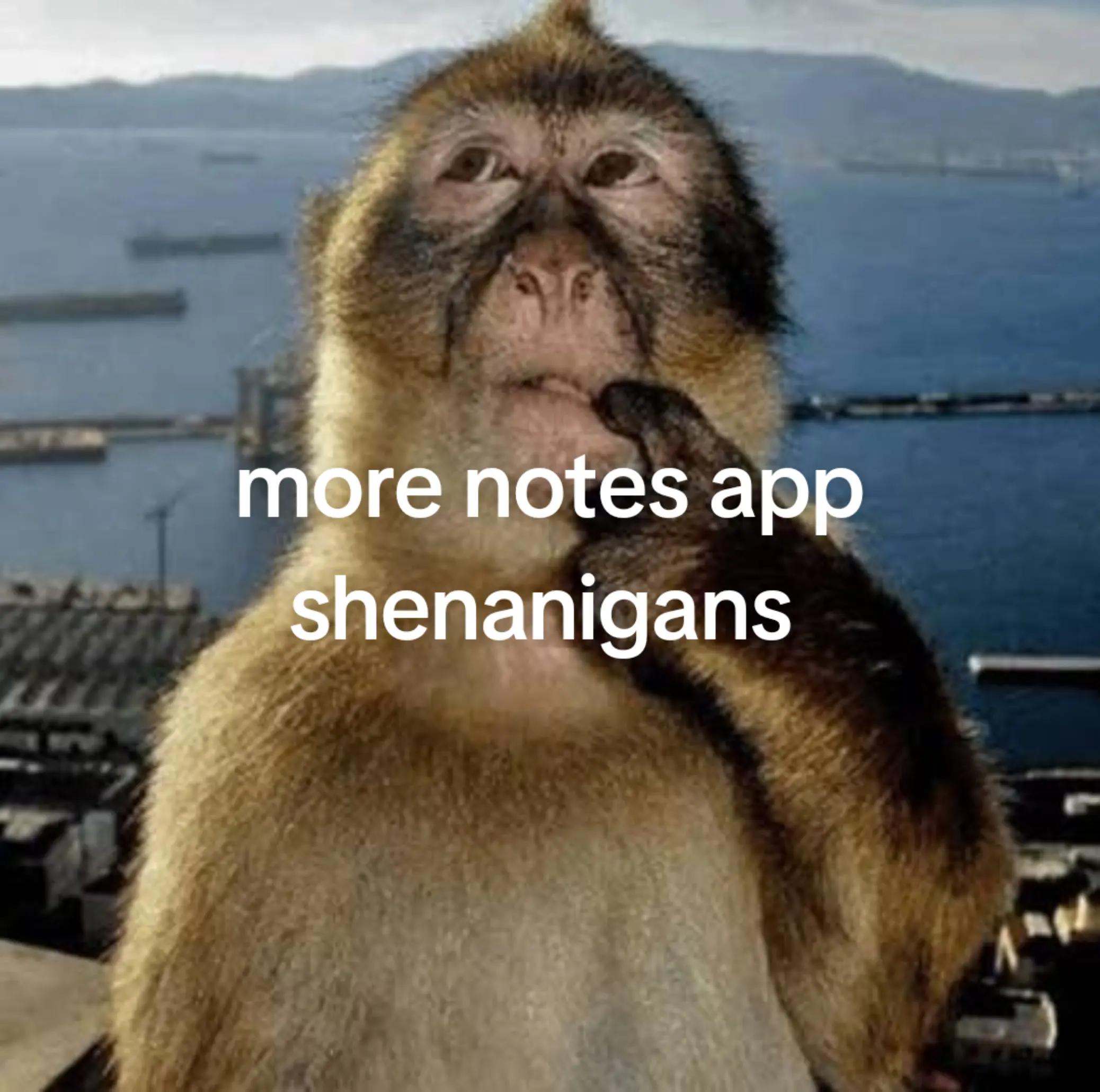 @themusicman