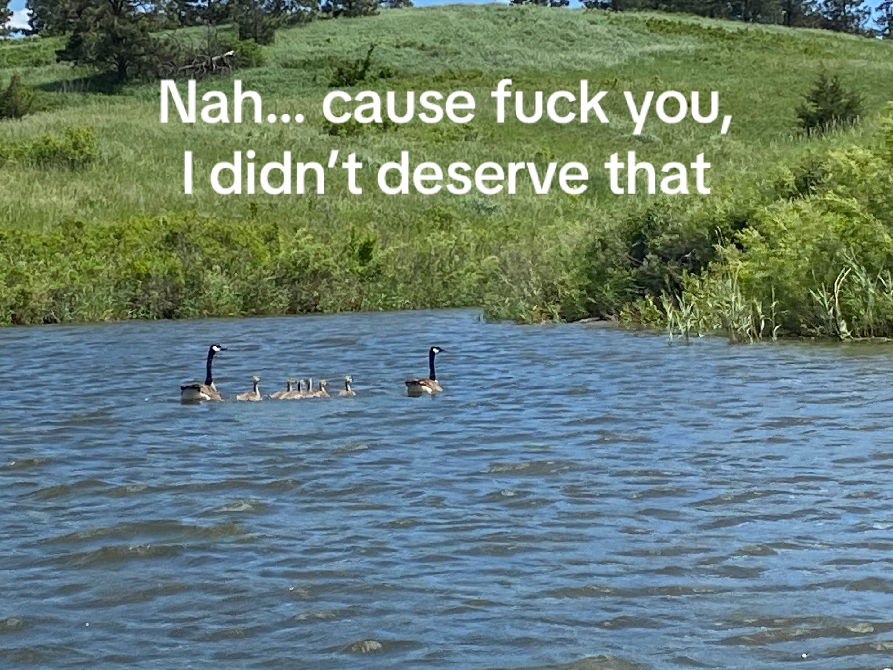@bigduckhunter2