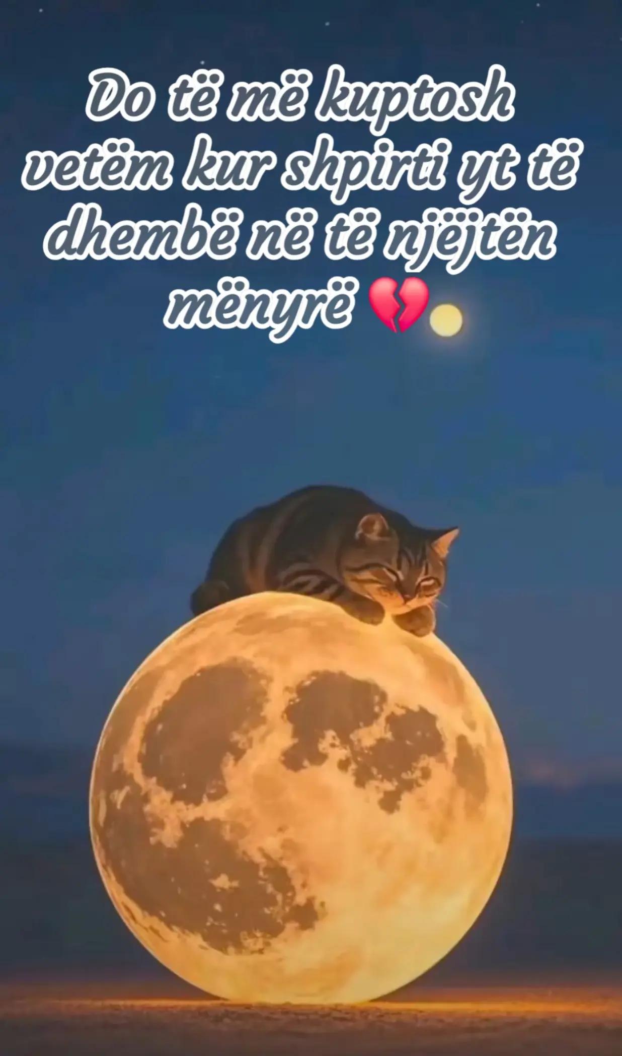 @tijatija
