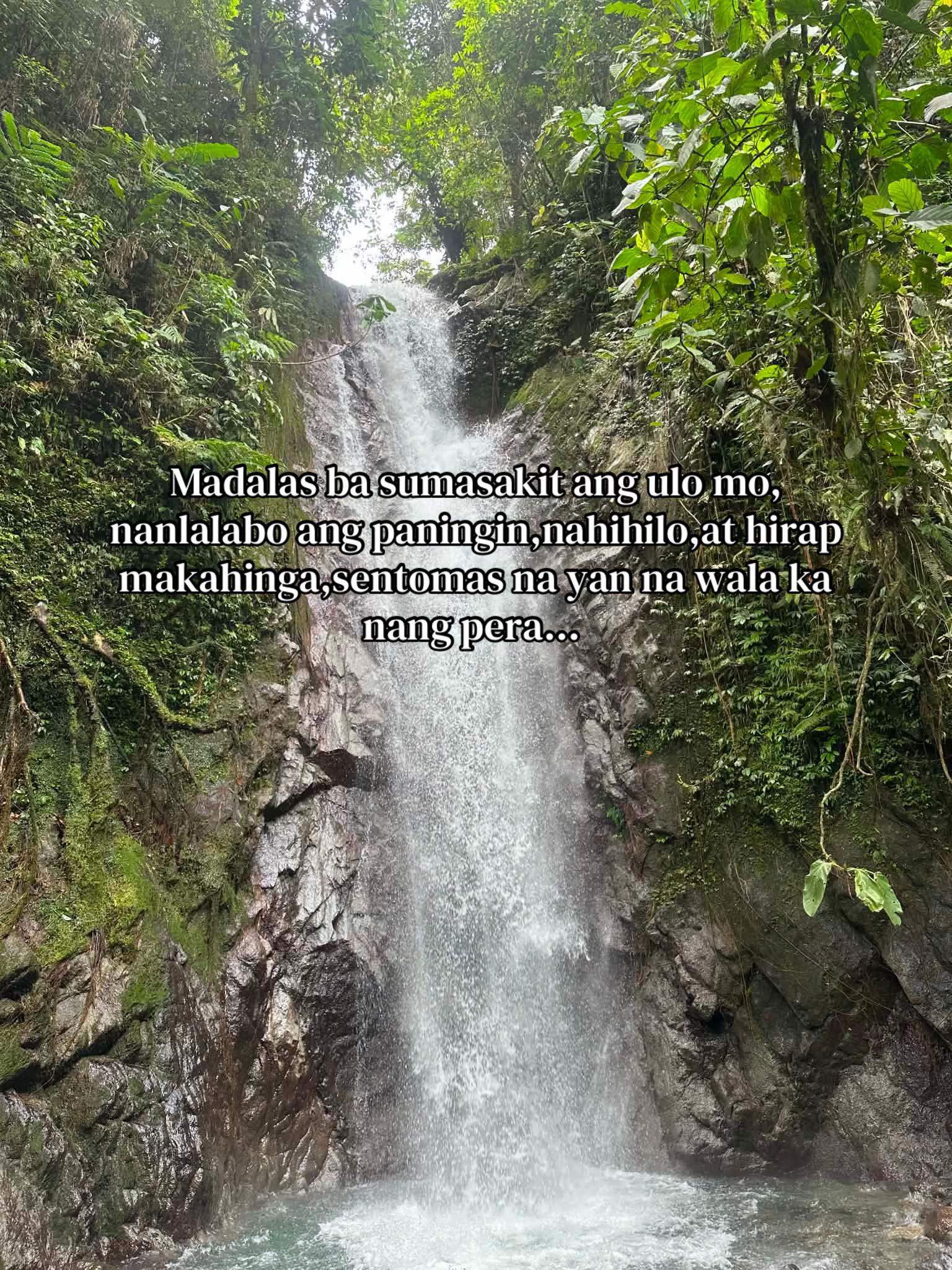 @Cille