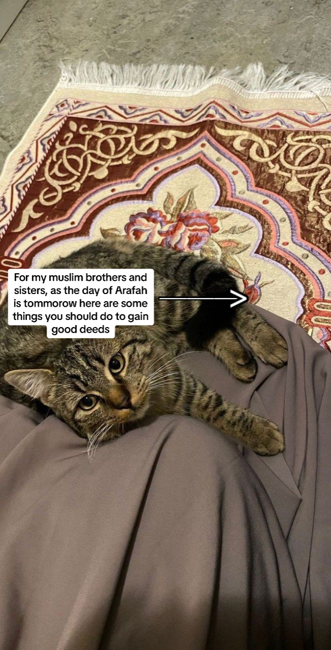 @☪️