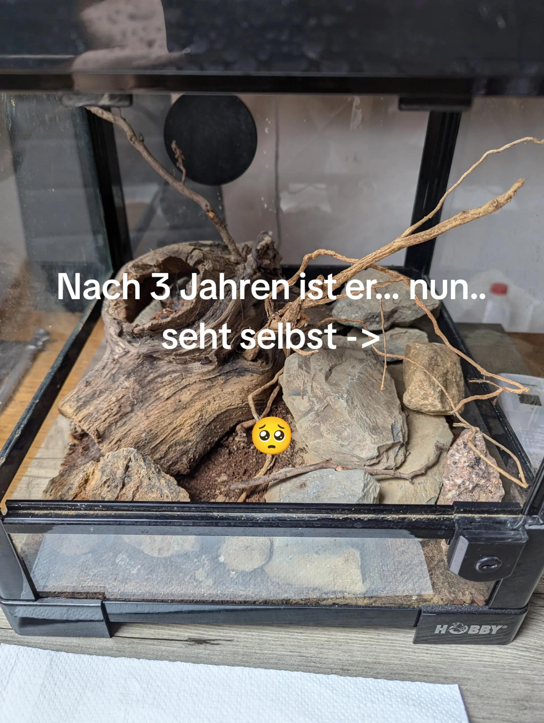 @Leon N&uuml;ndel 161