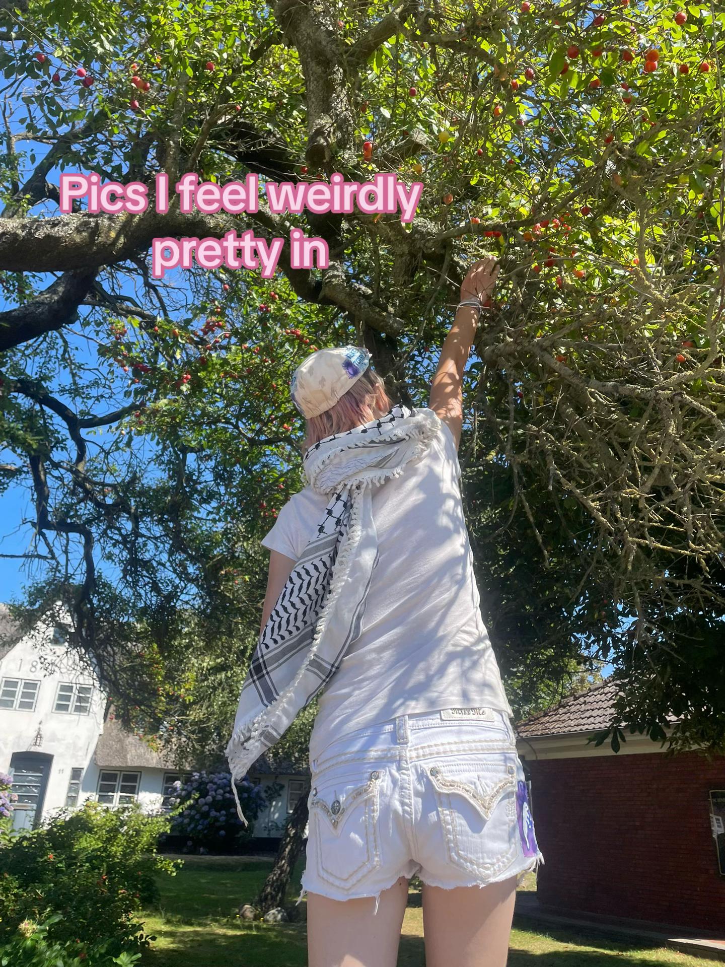 @lucanoxx 🇵🇸