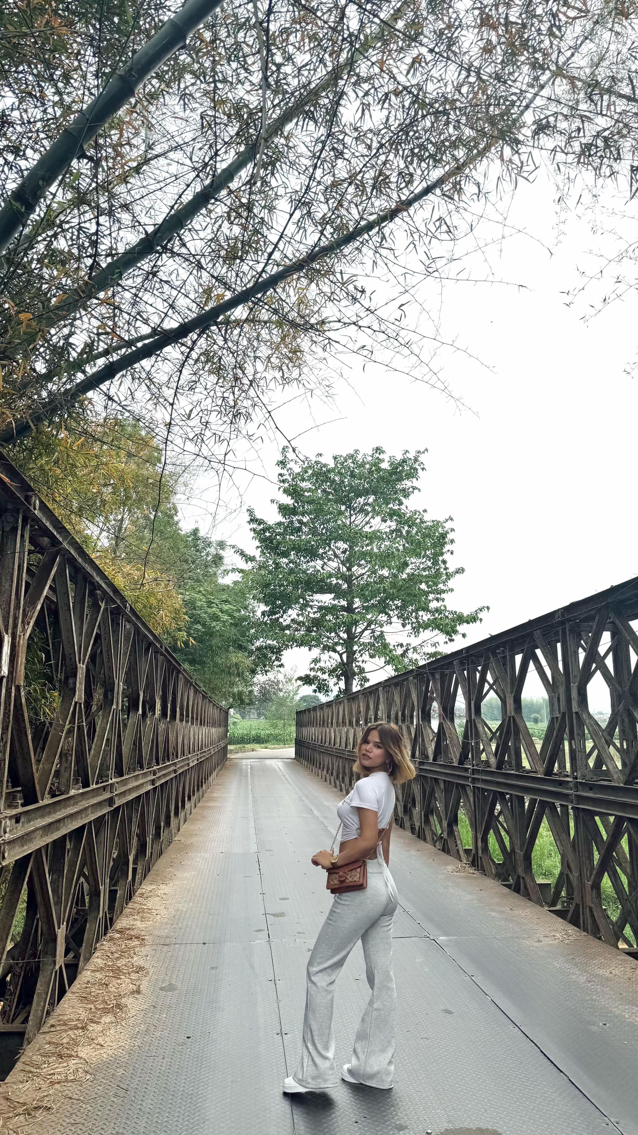 @⋆  🎀  𝒜𝓂𝒾𝓇𝒶  🎀  ⋆