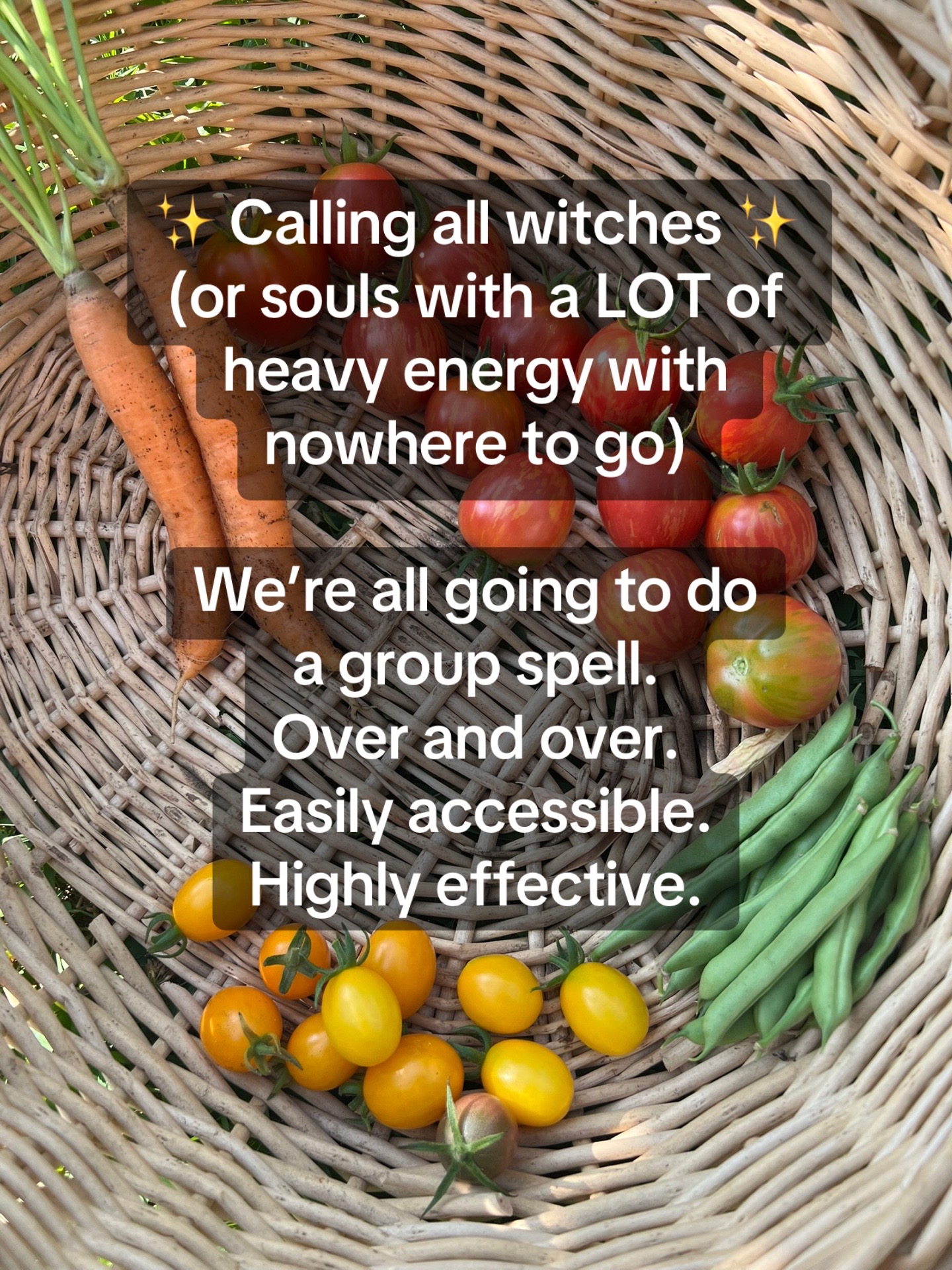 @sunbeamsanctuary