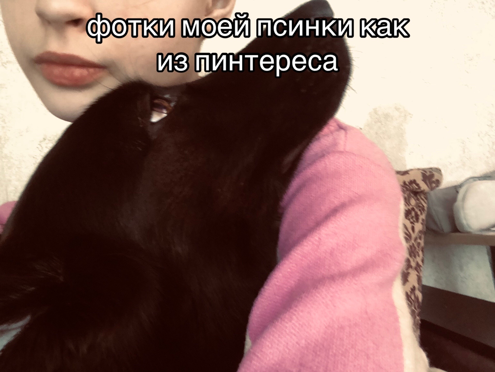 @метиска в раю
