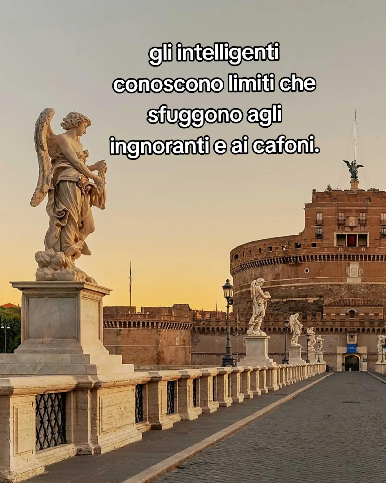 @ciropugliese379