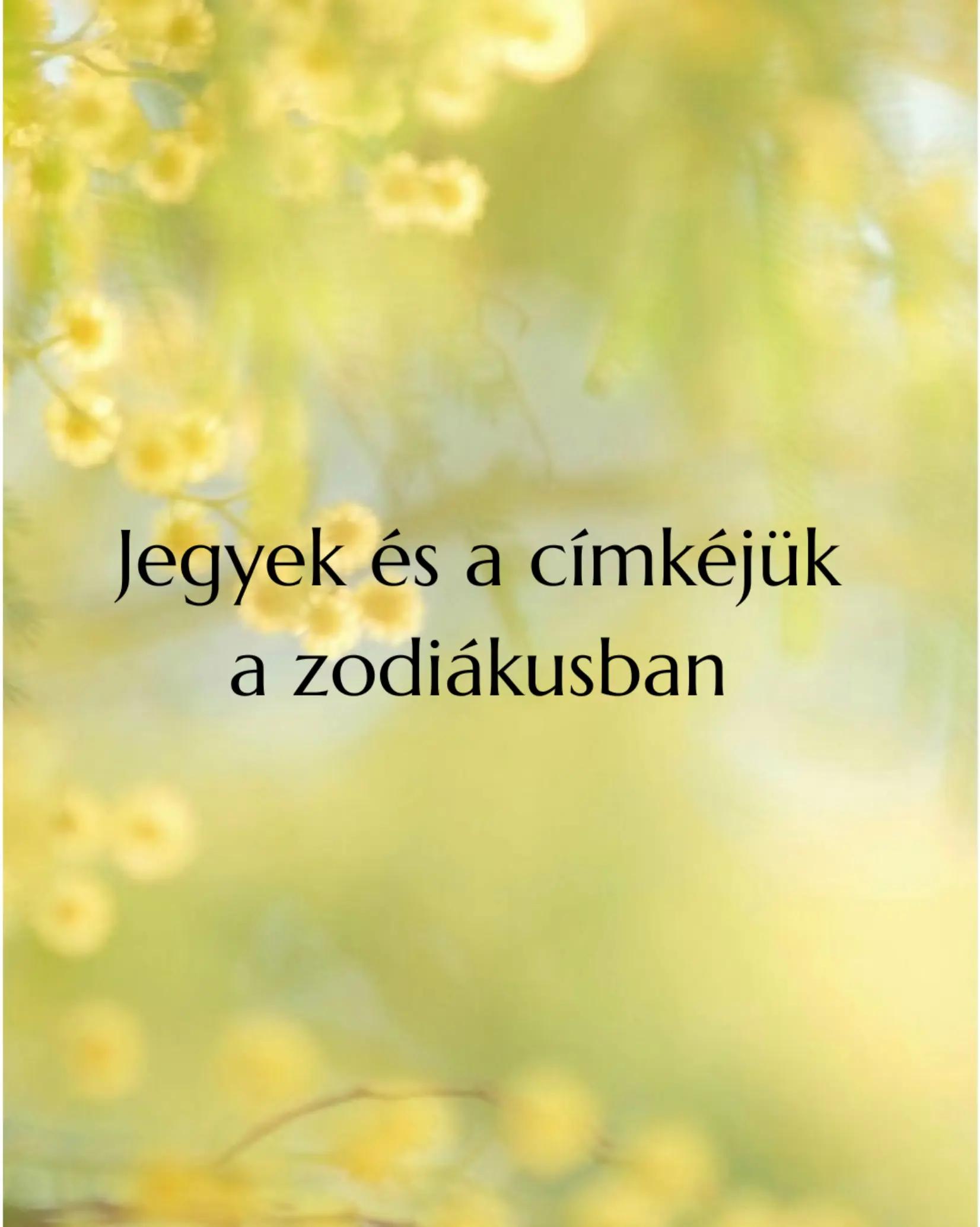 @Mezőföldi Pitypang író✍️