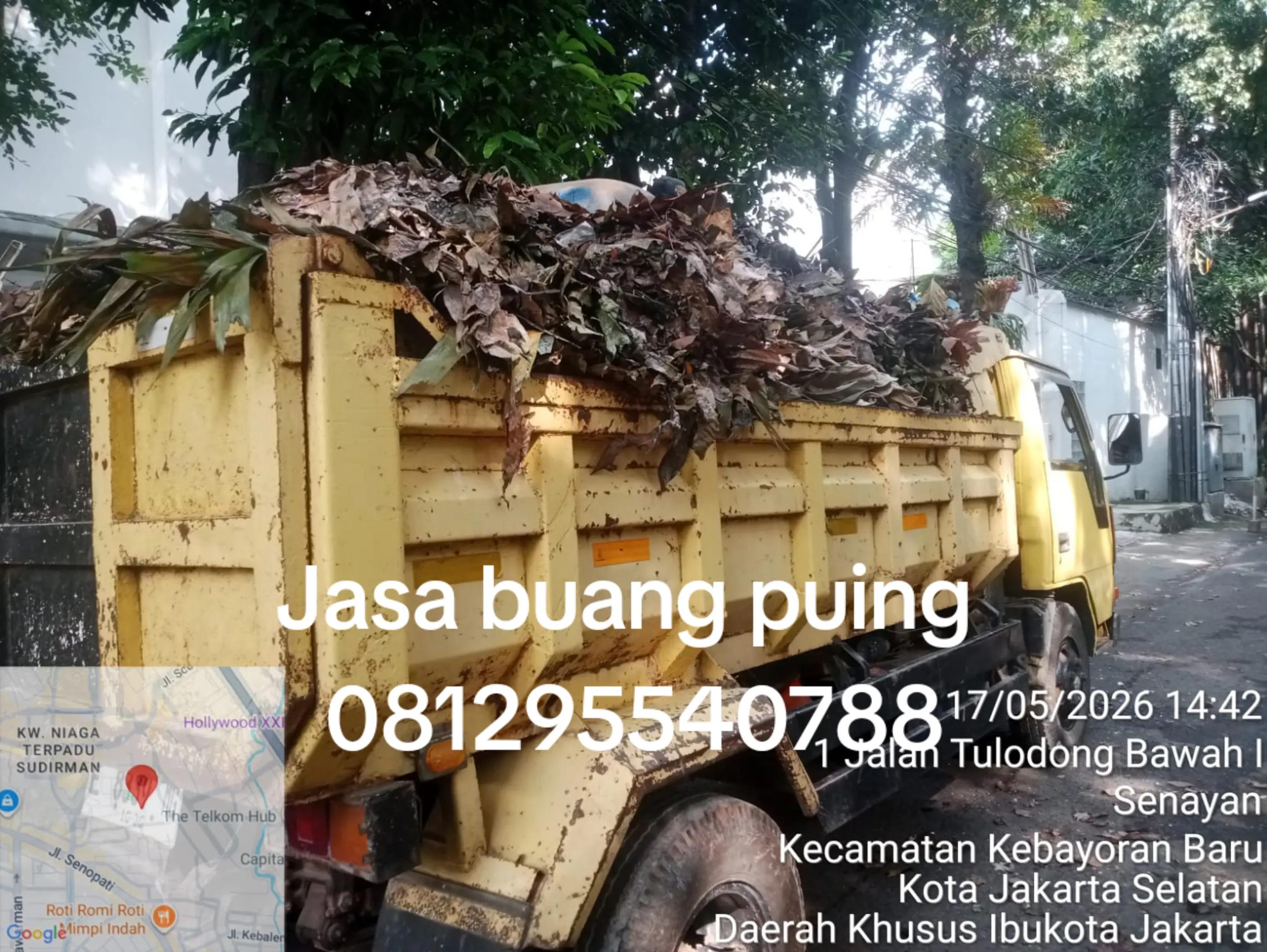 @Indoplangsir