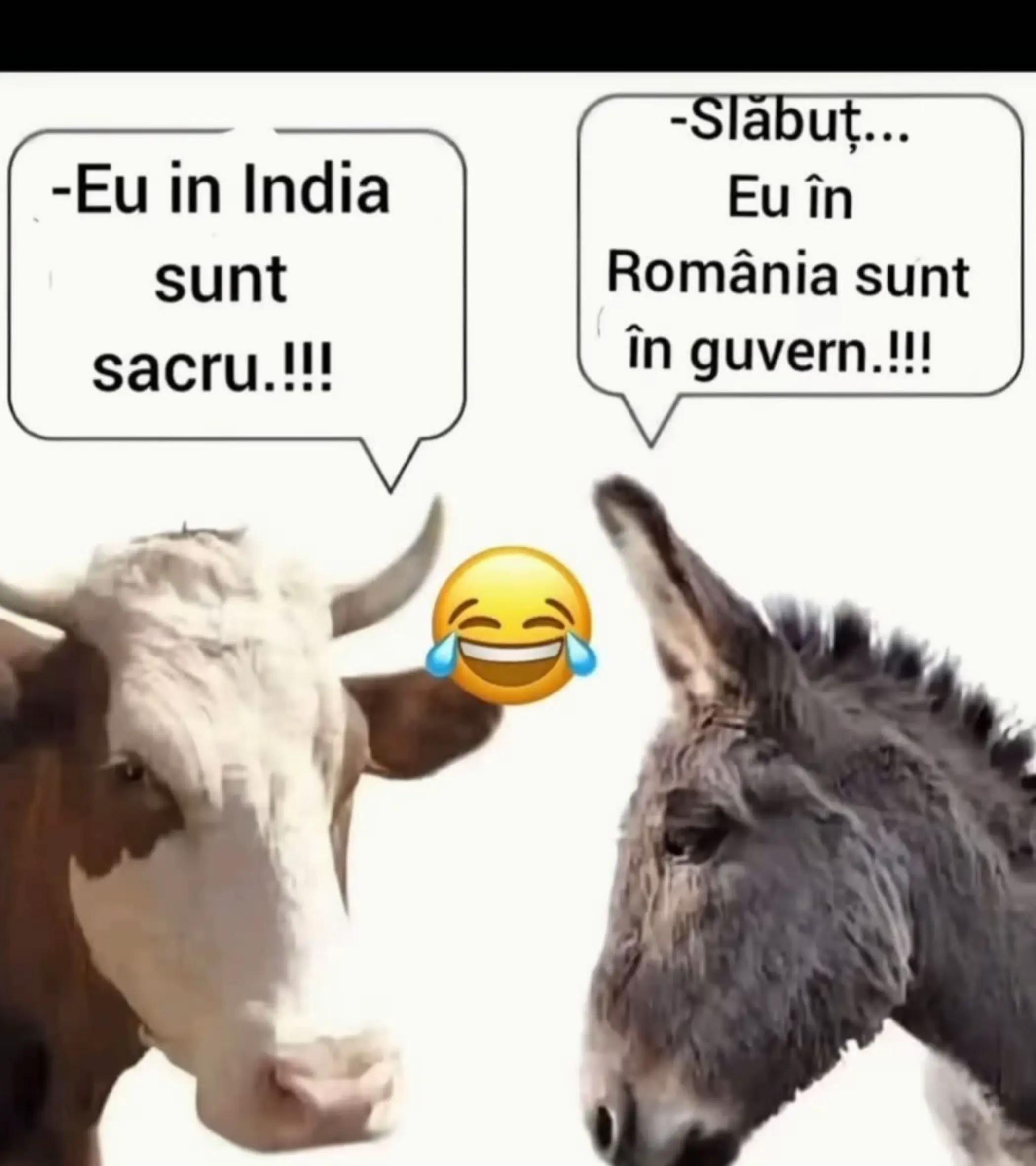 @F😀L😃o😄r😁i😆n😅🤣