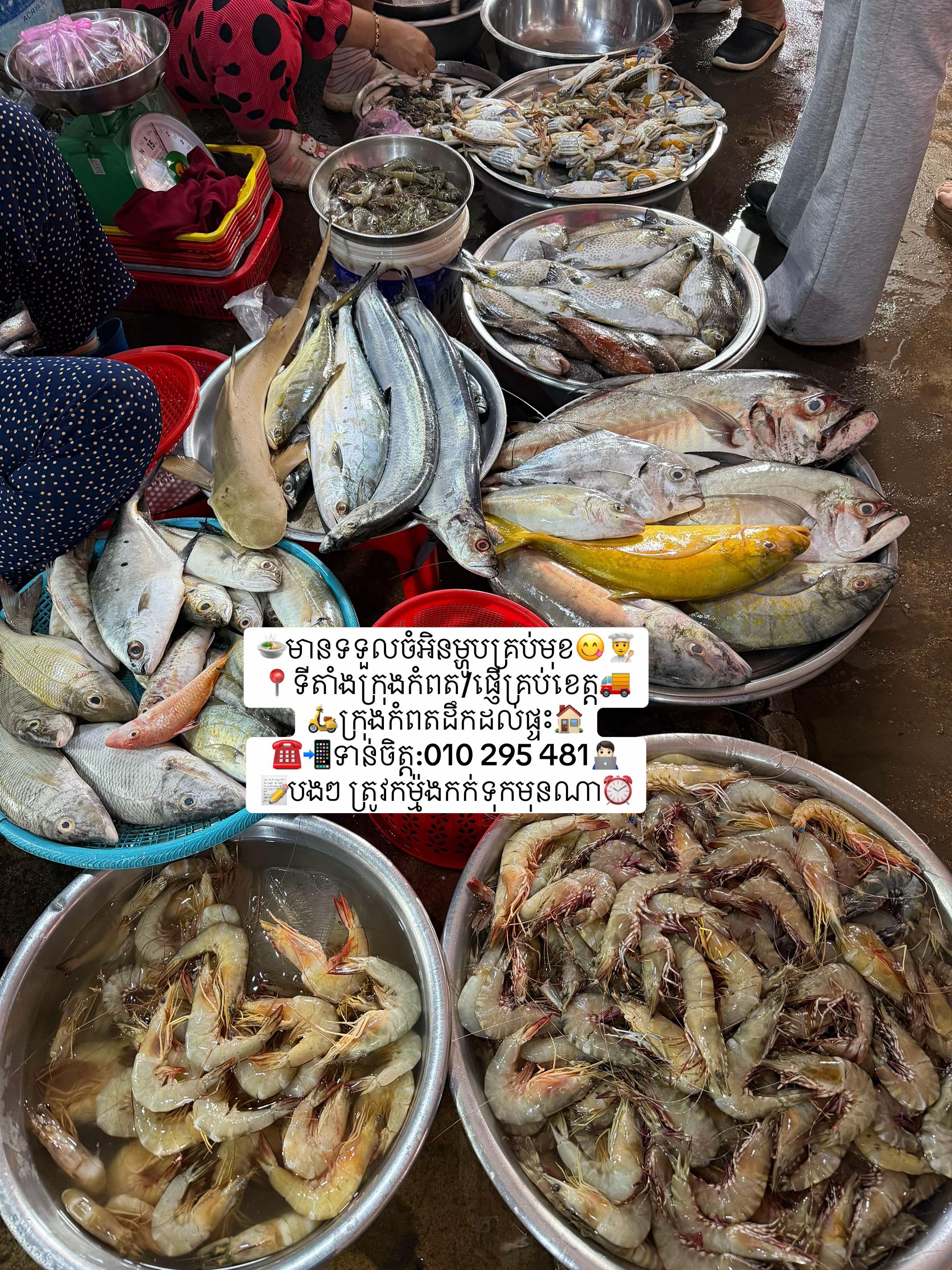 @កំពតគ្រឿងសមុទ្រ