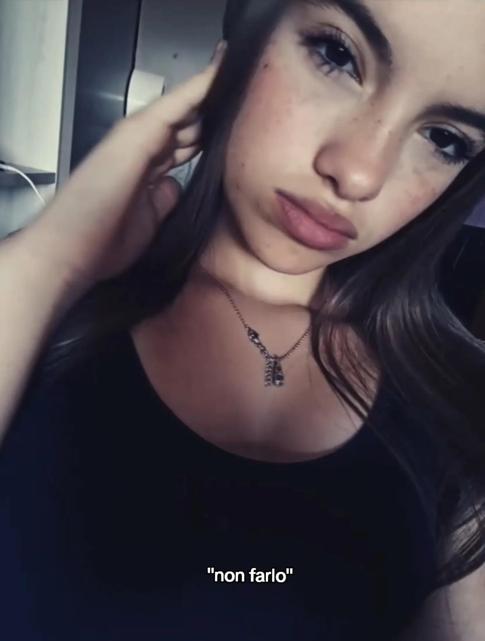 @🦈