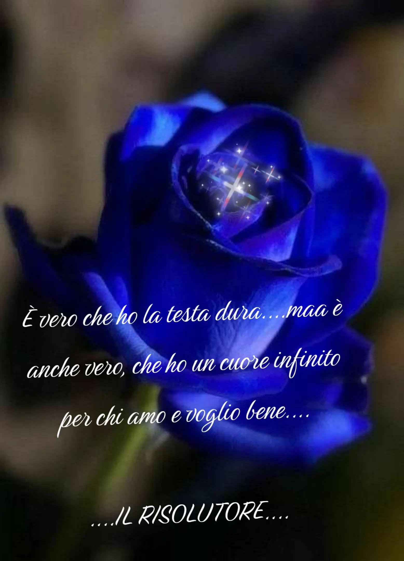 @IL RISOLUTORE...