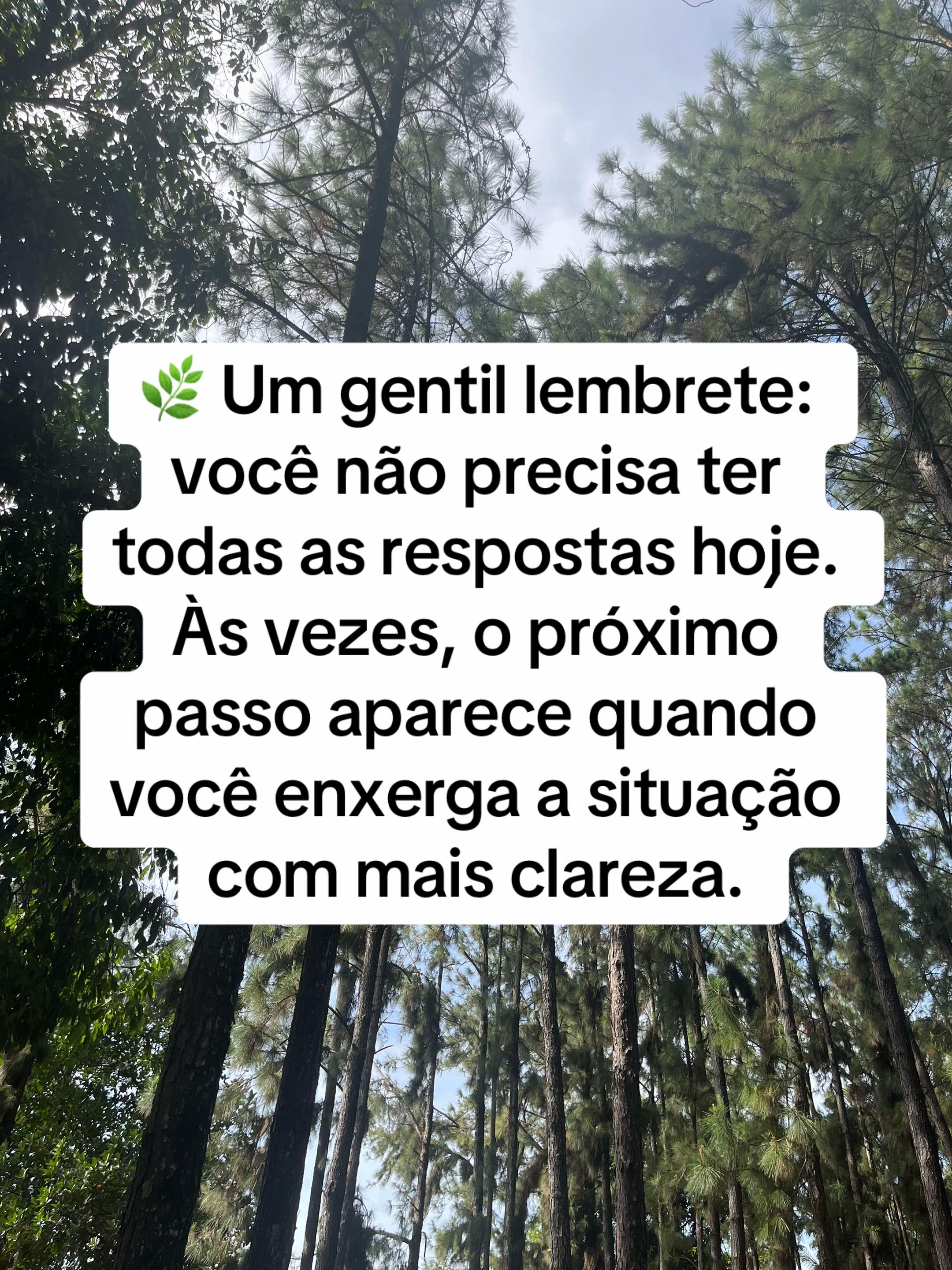 @Vanessa E. Santos | Terapeuta